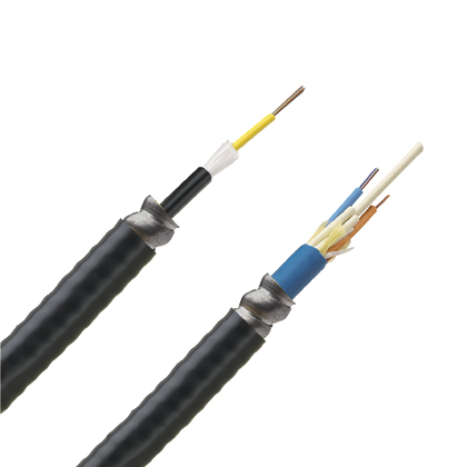 6 Fiber Cable, OM4, Indoor/Outdoor Armored, Riser, 250µm