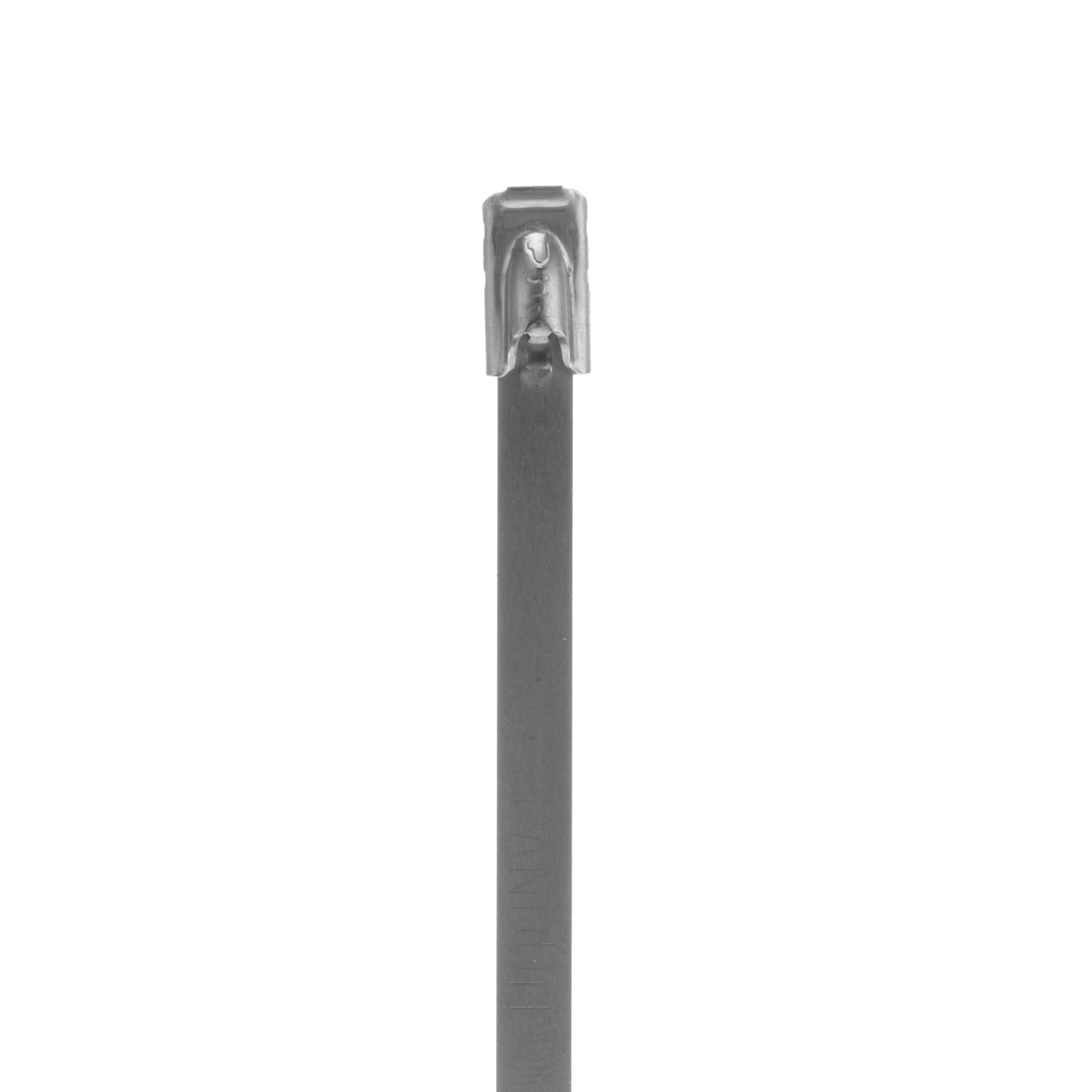 Pan-Steel® MLT4S-CP316 Cable Tie, SS 316
