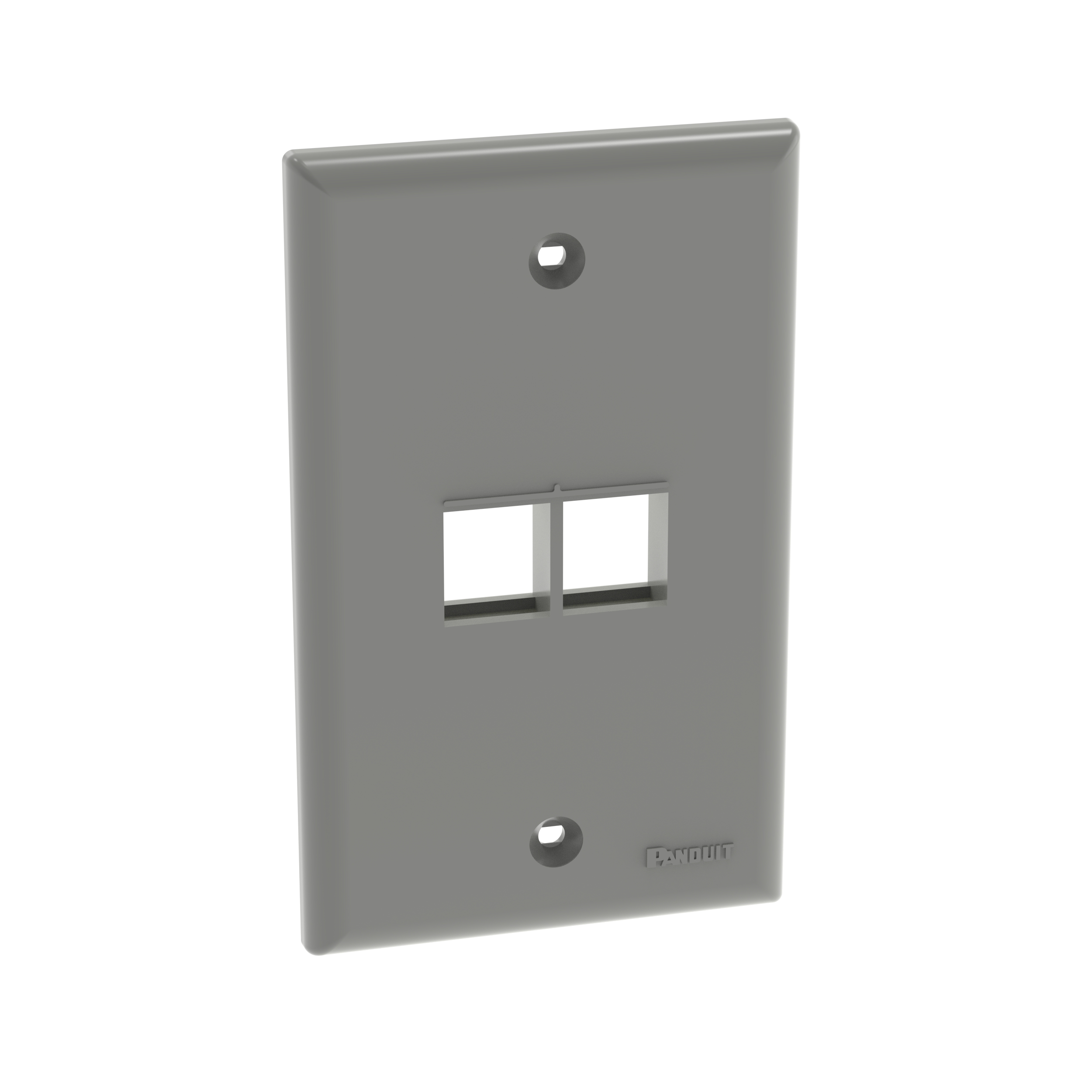 Product image for Panduit NK2FNIG Faceplate, 2-Port, International Gray