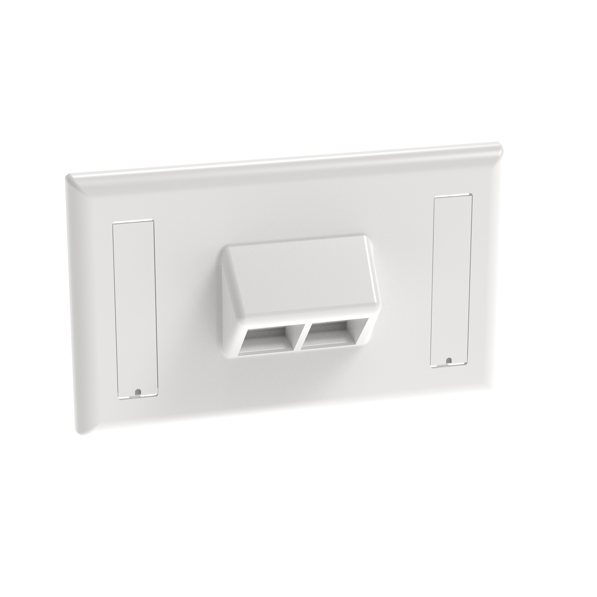 Product image for PAN NK2HSFWHY NetKey® Faceplate, 2-