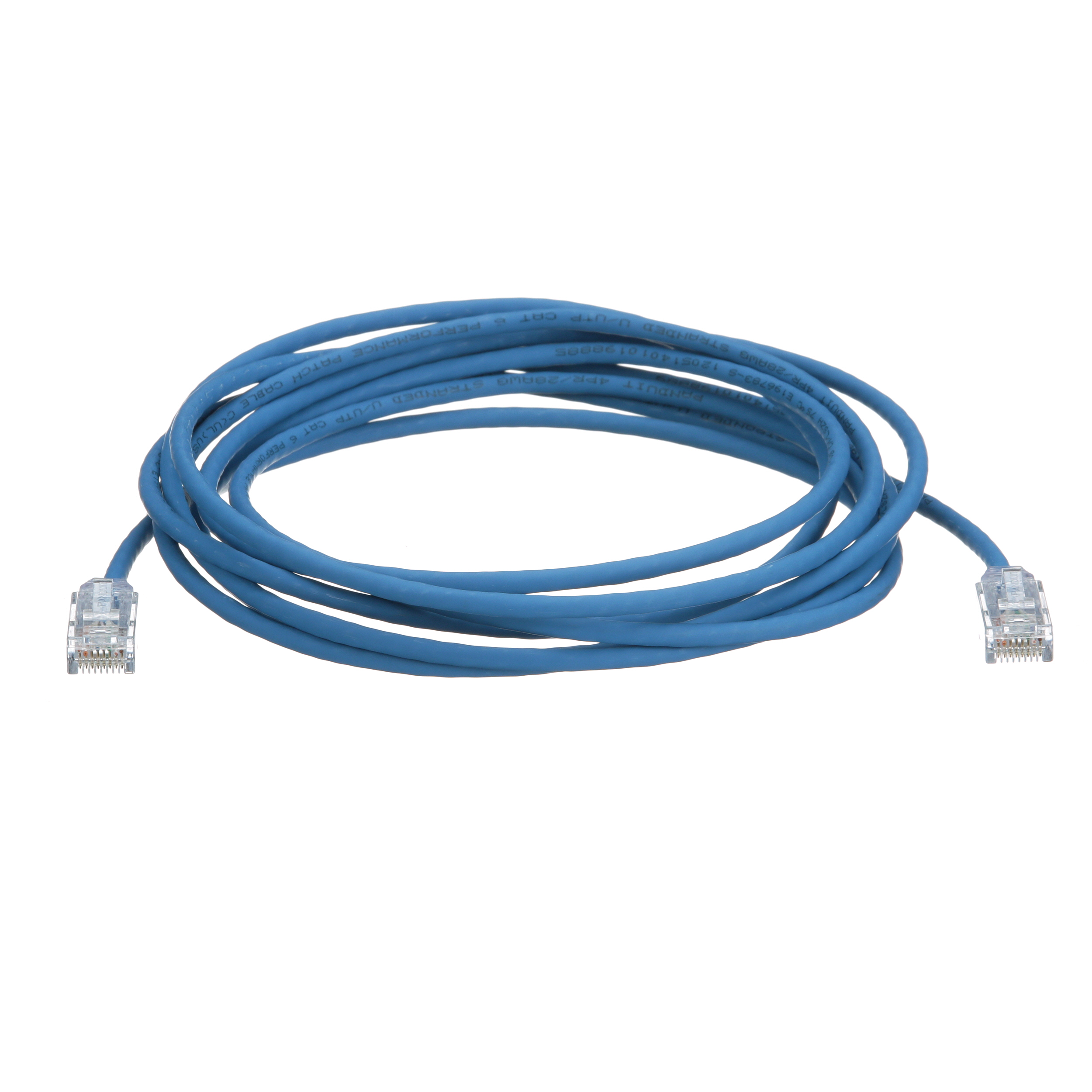 Panduit blue patch cord