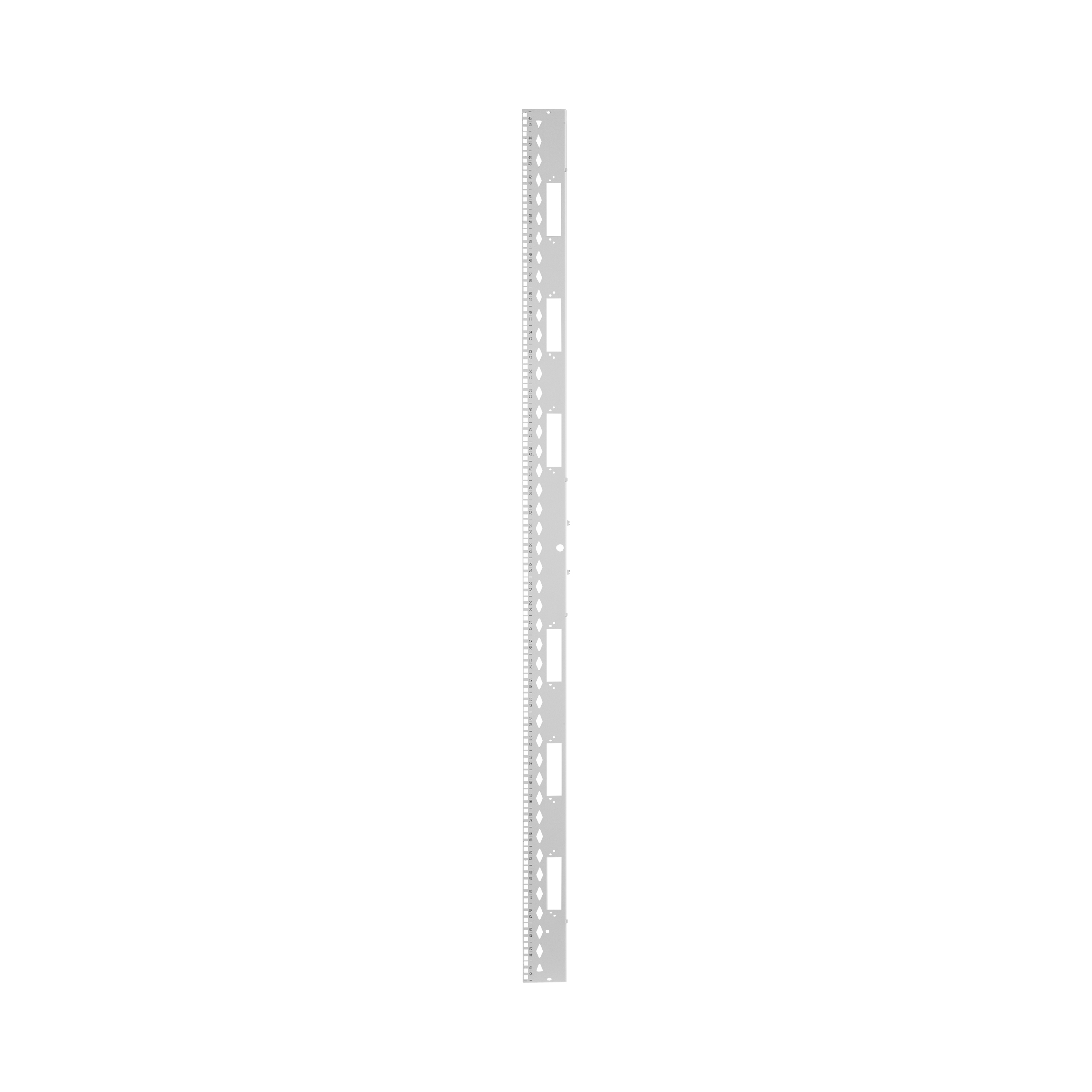 Equipment Rail Kit, 600mm x 42RU, White