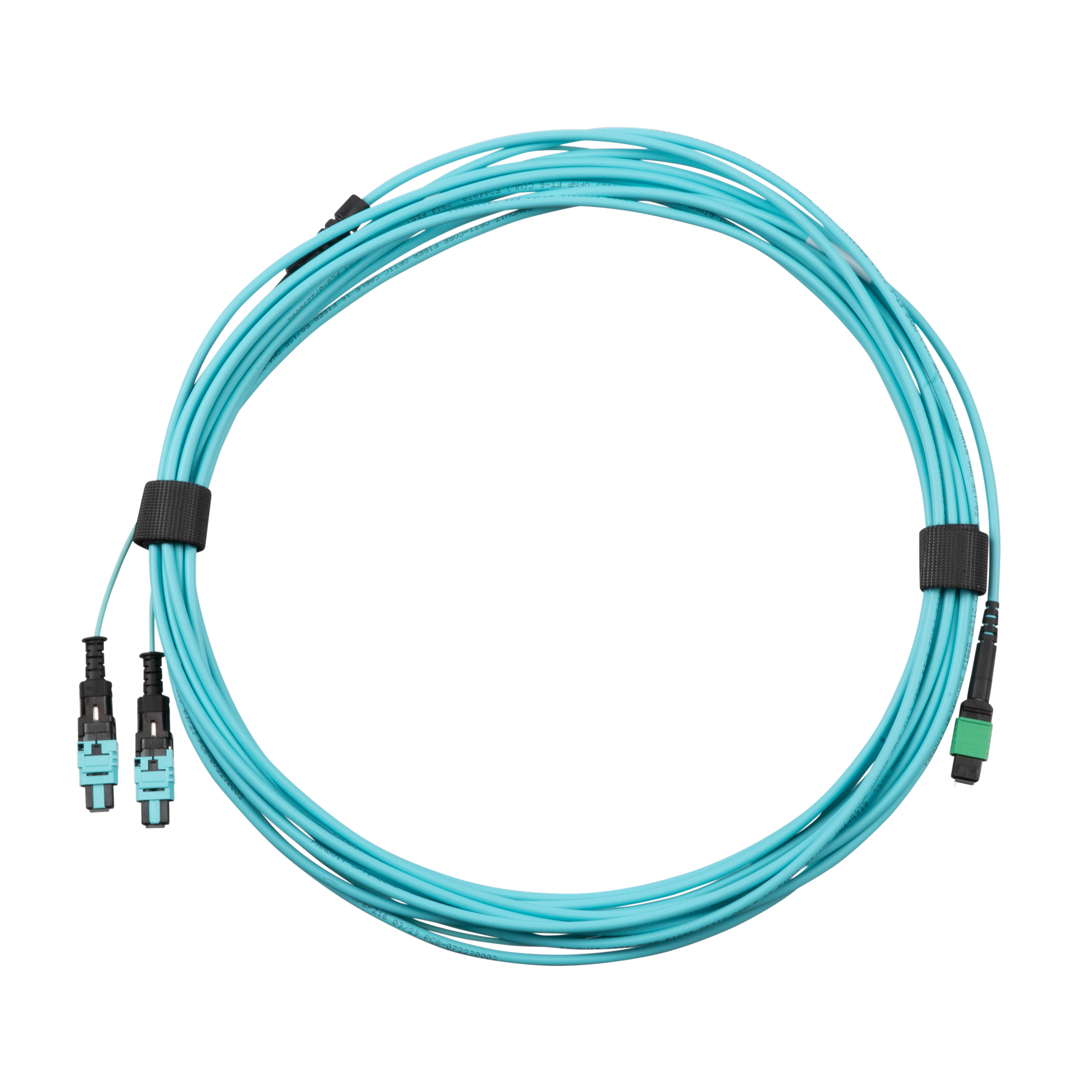 OM4+ 16-Fiber Bağlantı Kablosu, LSZH, MPO-16 Dişi APC to PanMPO-8 Dişi ile 24in (60cm) ayrım, Polarite B, Optimize Edilmiş IL, 2 Metre