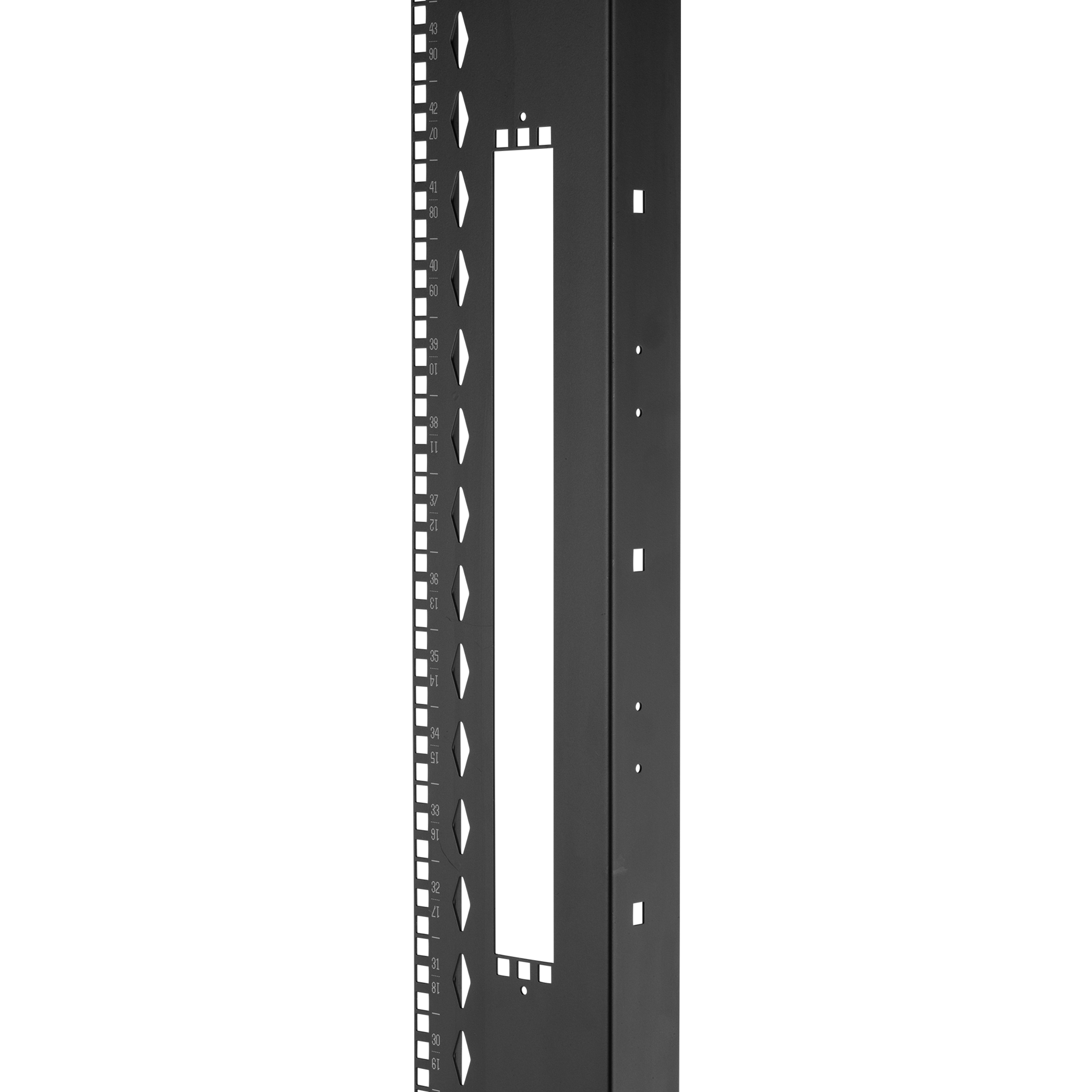 FlexFusion™ Ekipman Rayı Seti, 800mm x 51RU, Siyah