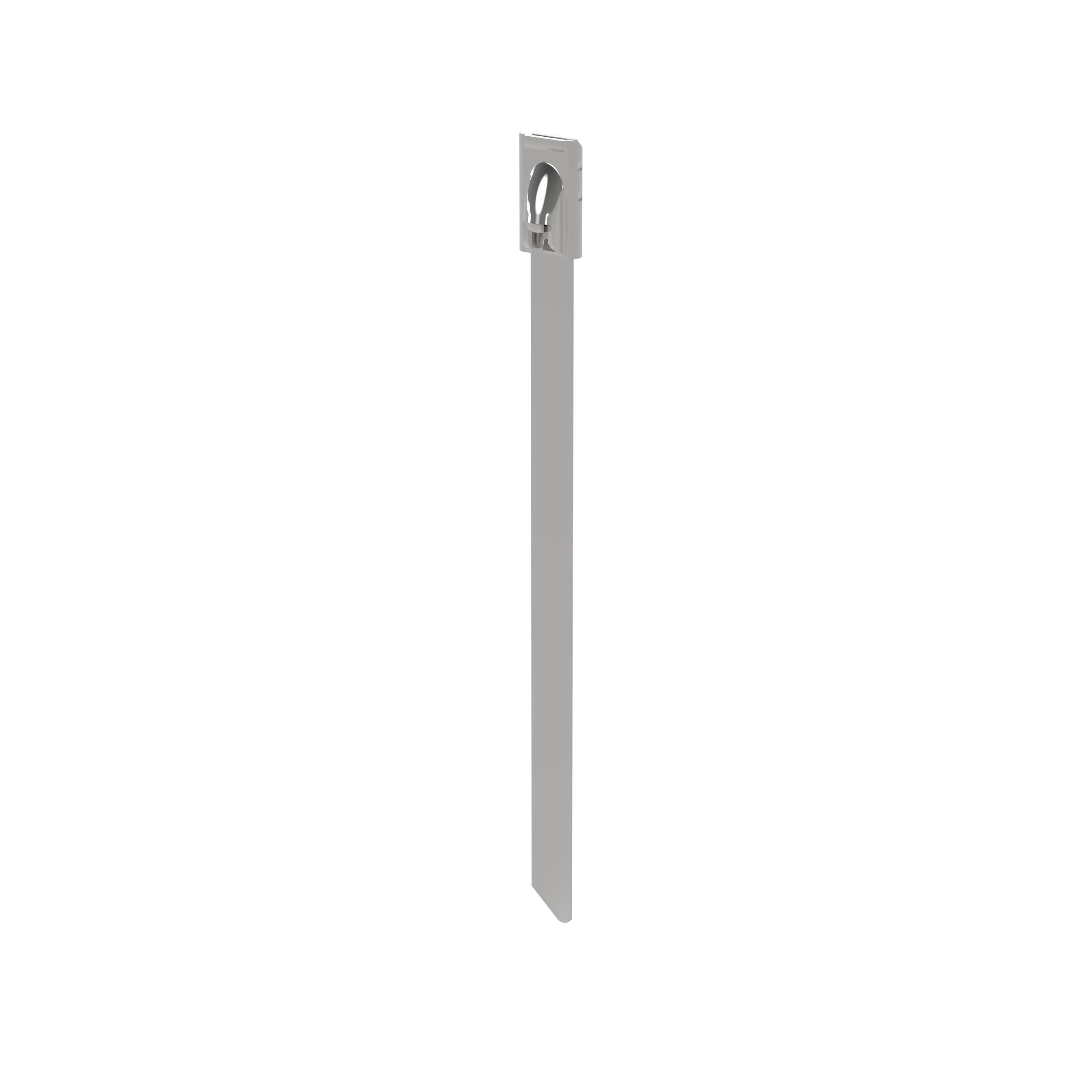 Kablo Bağı, Paslanmaz Çelik 304, 254x4.6mm, Paket 100
