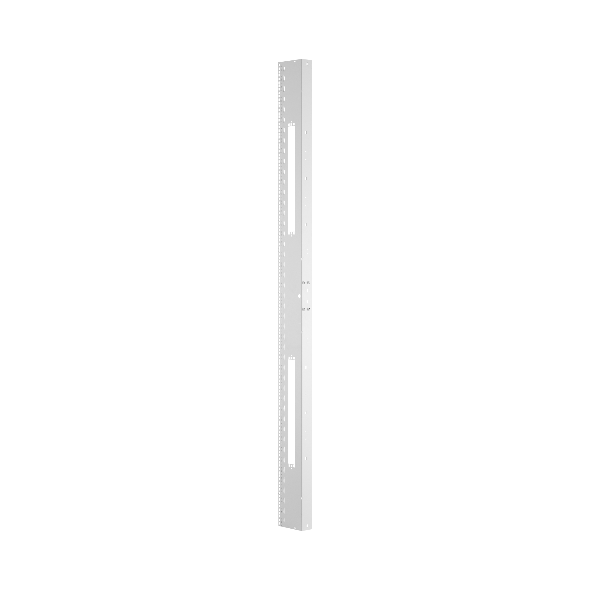 FlexFusion™ Ekipman Rayı Seti, 800mm x 48RU, Beyaz