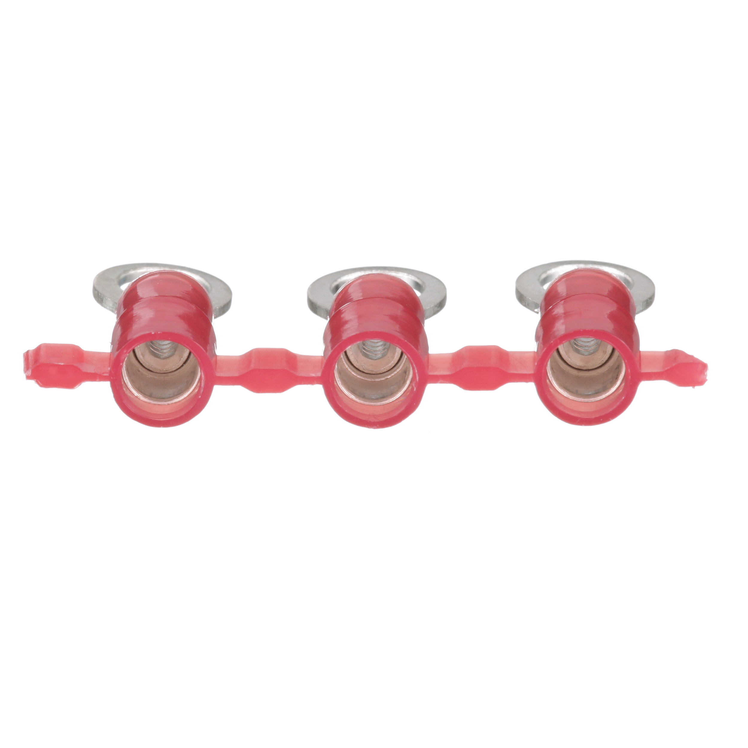 Halka Terminal, Kırmızı, Naylon, 0.5-1.5mm² Kablo, 3000'lü Paket