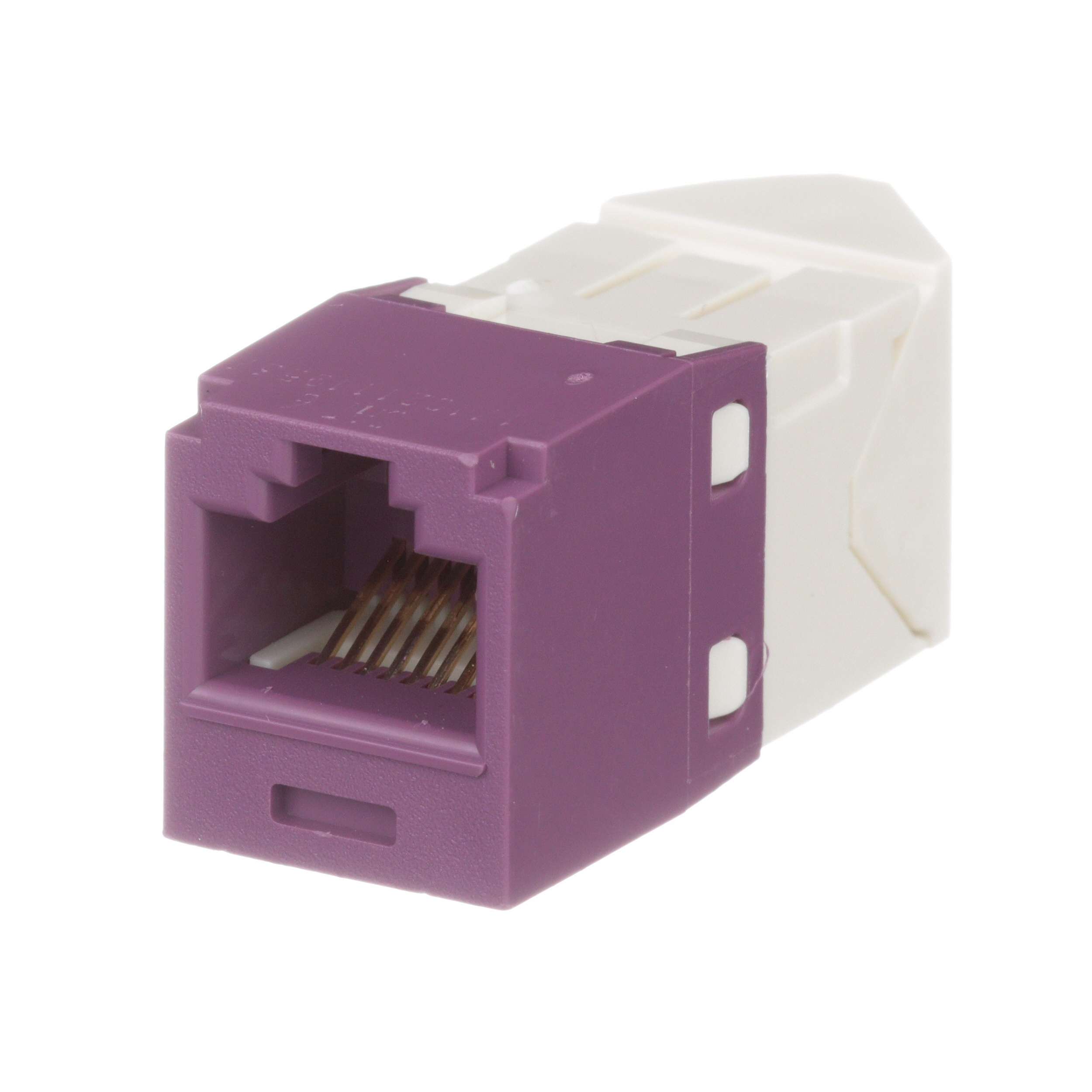 Bükümlü Çift RJ45 Cat 6 Sol/Sağ Çevirme Jack Modülü, Mor
