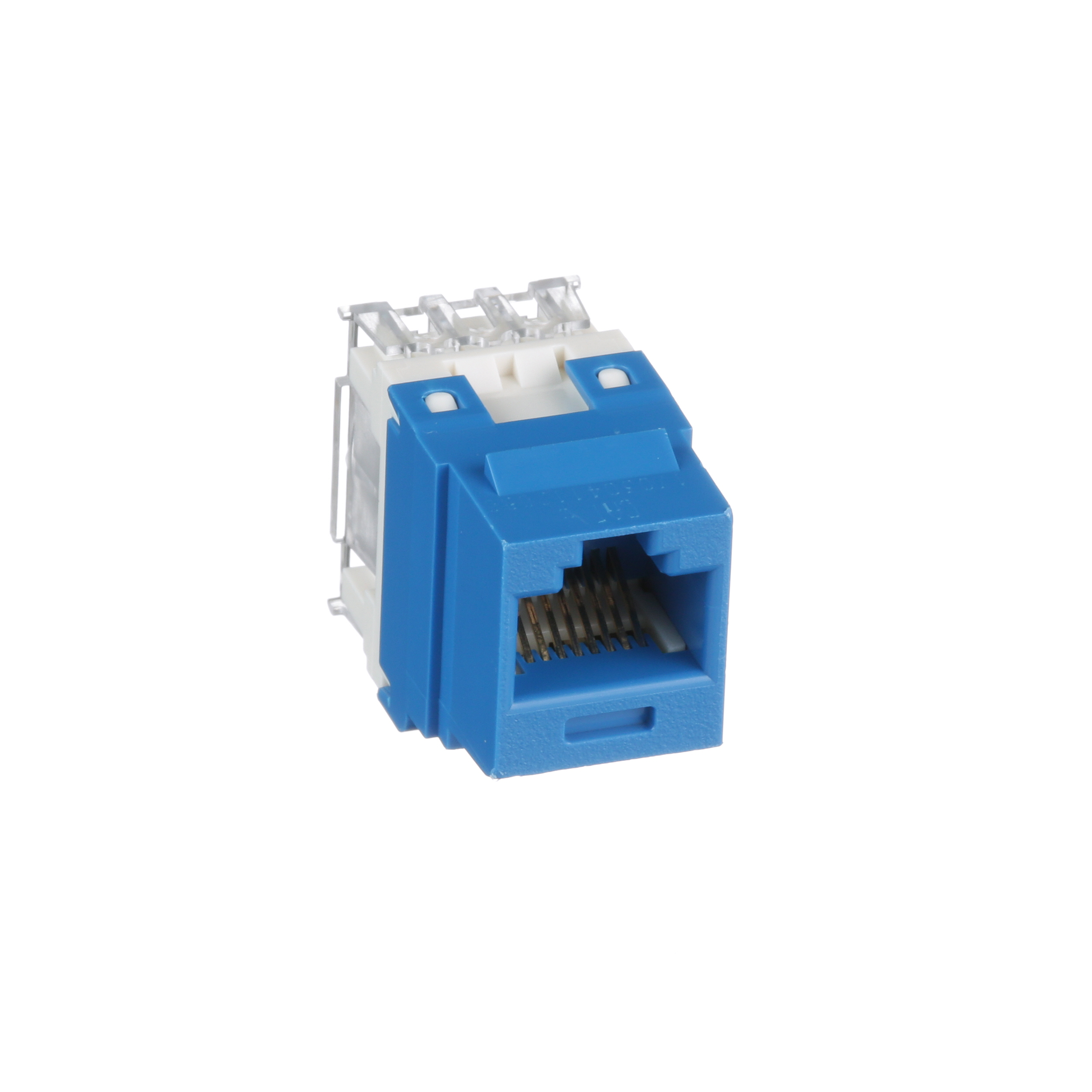Bükümlü Çift RJ45 Cat 6 Çıkış Keystone Jak Modülü, BU