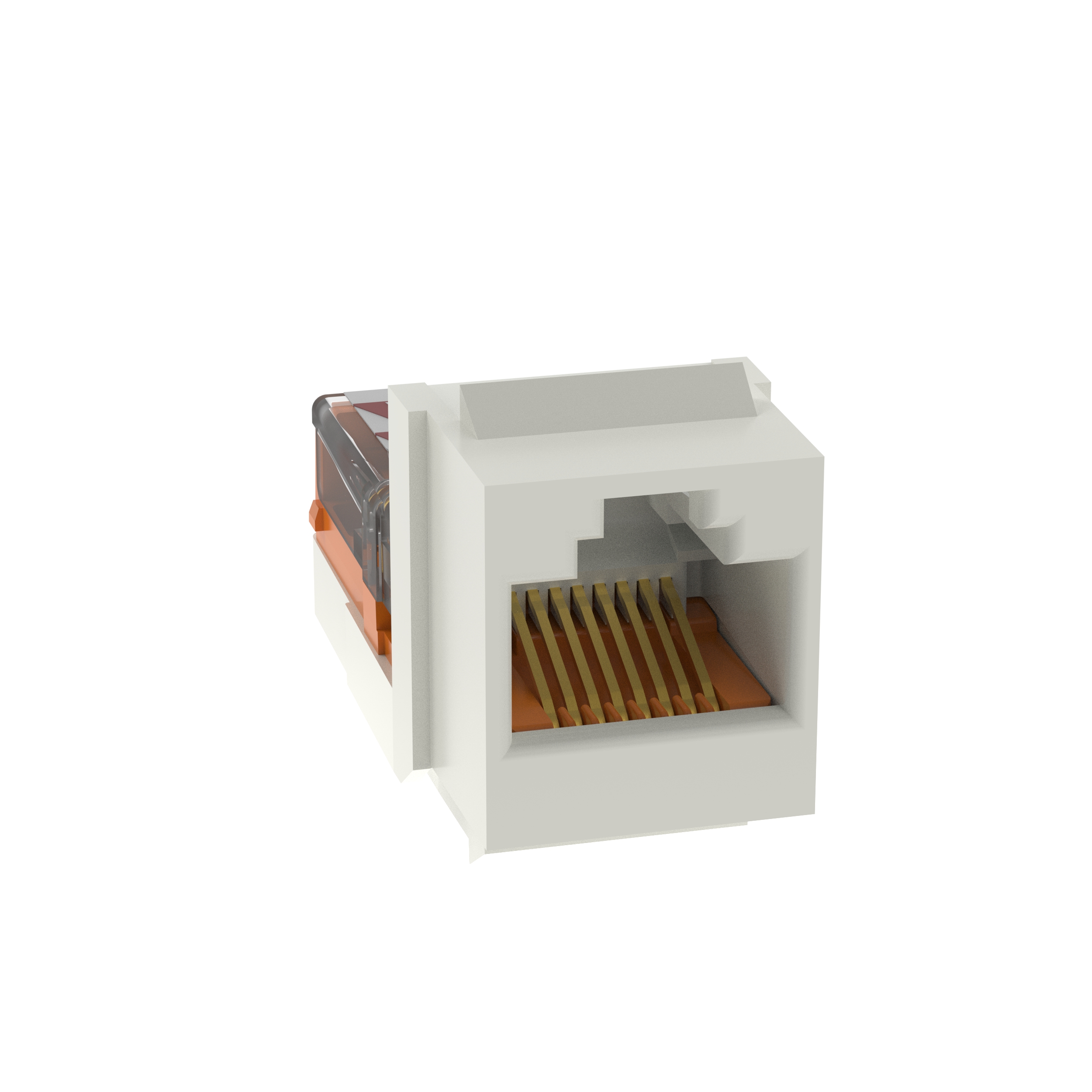 Keystone Cat 5e Çerçeve Yuvası, Uluslararası Beyaz - 25'li Paket