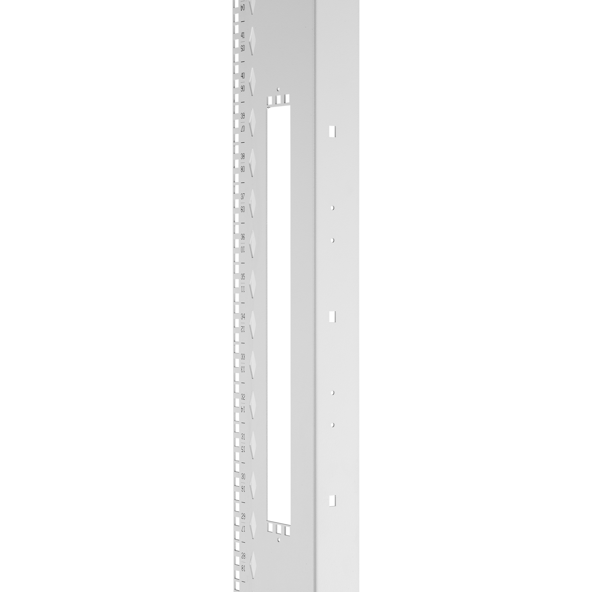FlexFusion™ Ekipman Rayı Seti, 800mm x 48RU, Beyaz