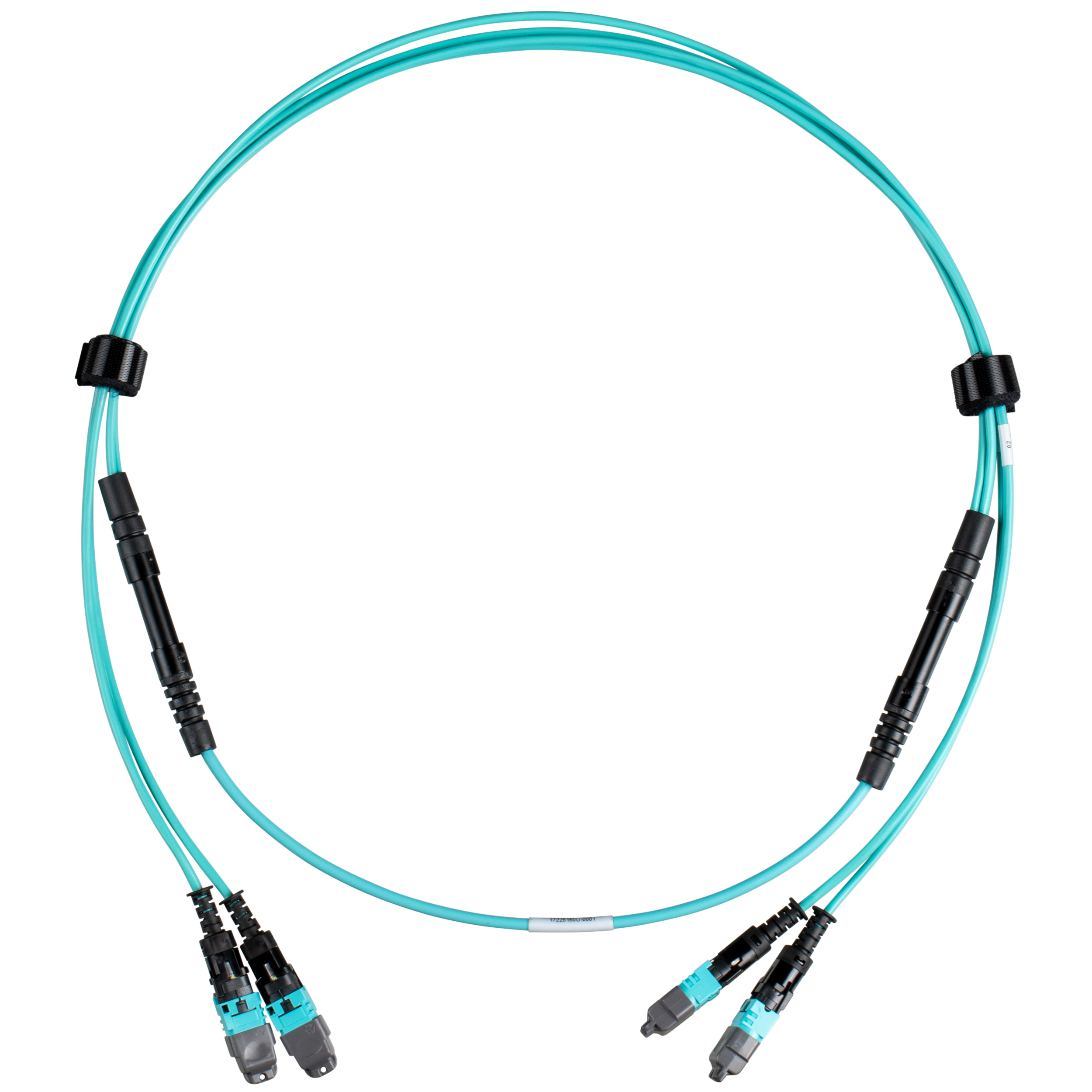 OM4 16-Fiber Bağlantı Kablosu, LSZH, Dişi PanMPO-8 ile 24in (60cm) ayrım, Dişi PanMPO-8 ile 24in (60cm) ayrım, Kutupluluk B, Optimize Edilmiş IL, 10 M