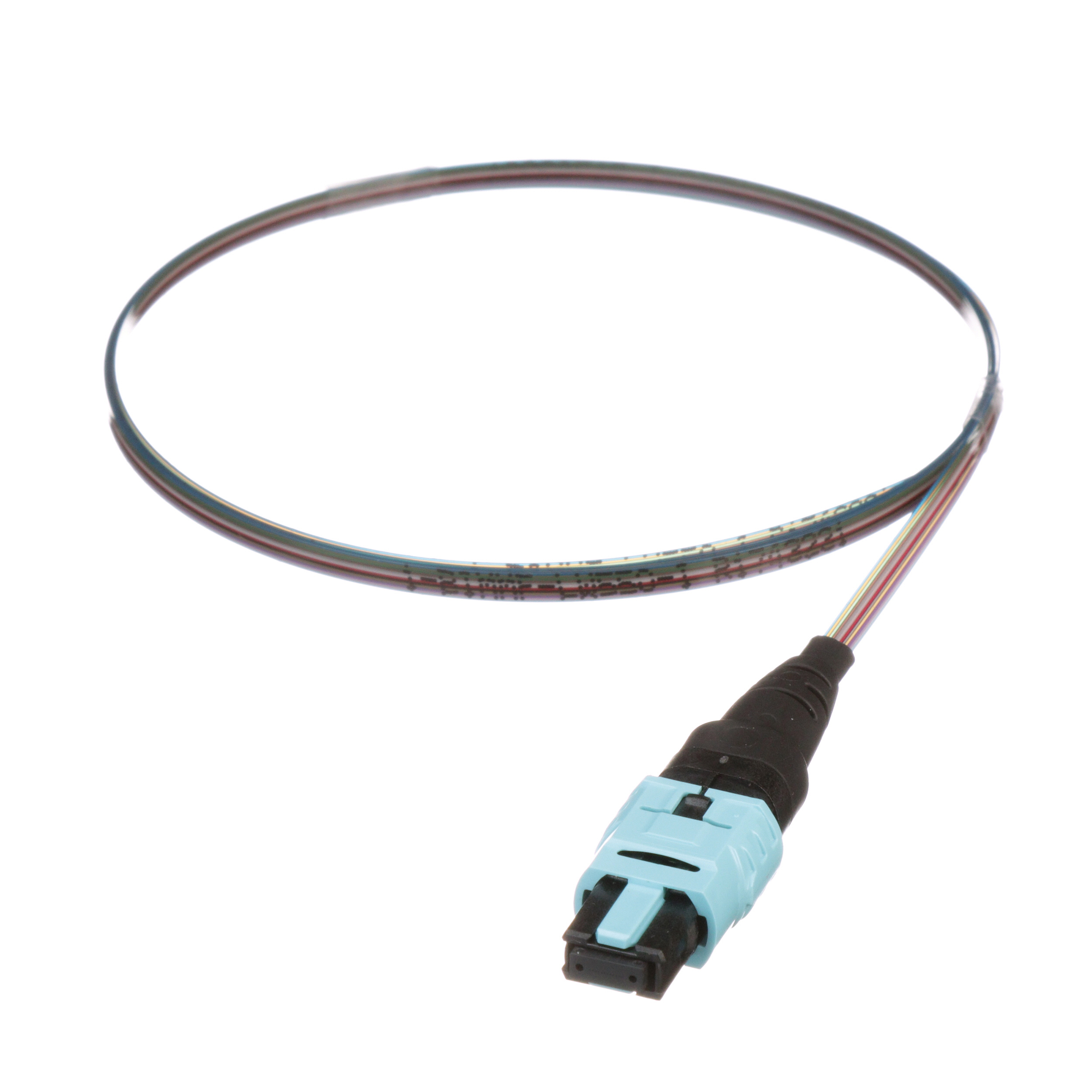 OM4, 12 Fiber Çıplak Şerit Pigtail Montajı, PanMPO Dişi to Pigtail, Standart Polarite, Standart Ek Kaybı - 1 metre