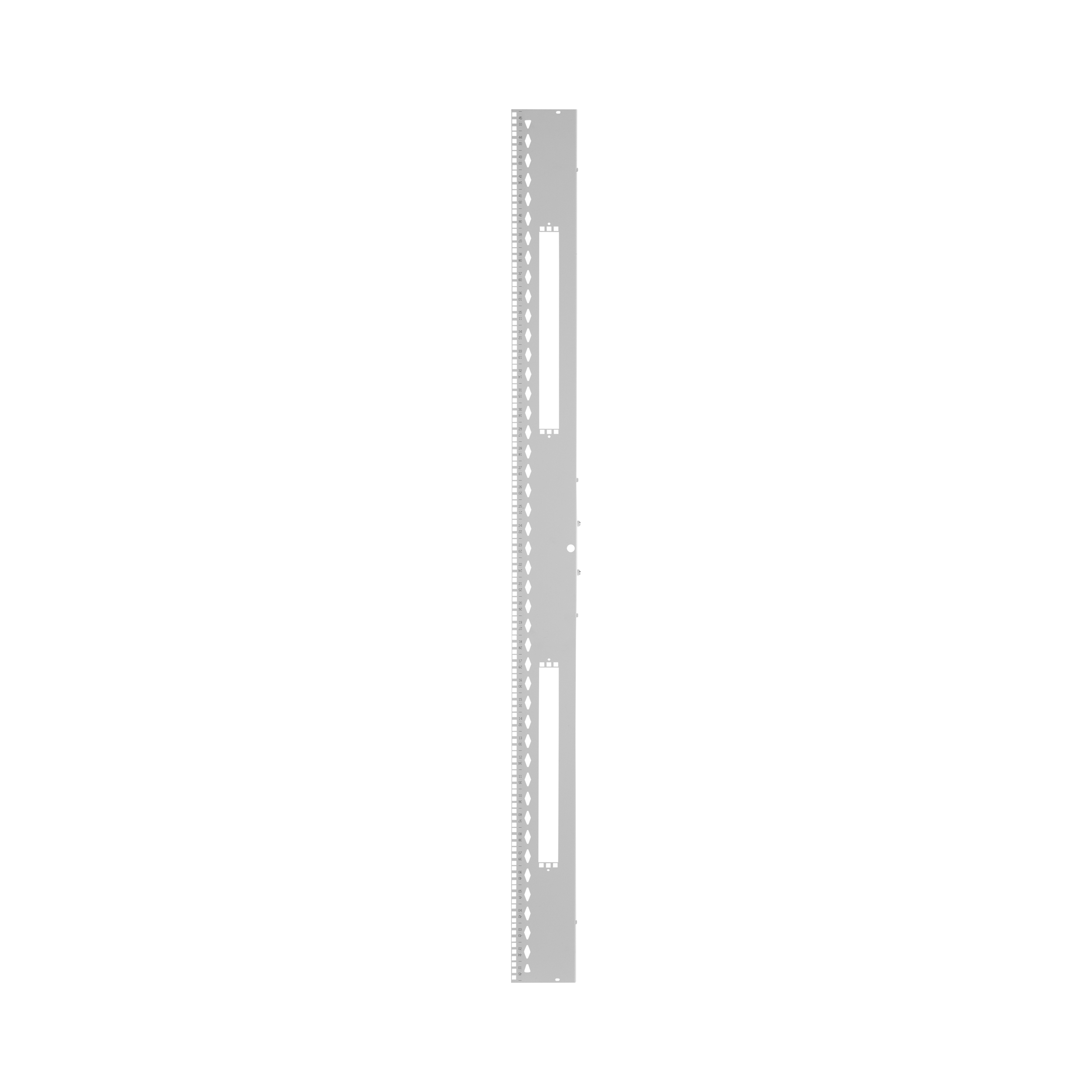 Equipment Rail Kit, 800mm x 42RU, White