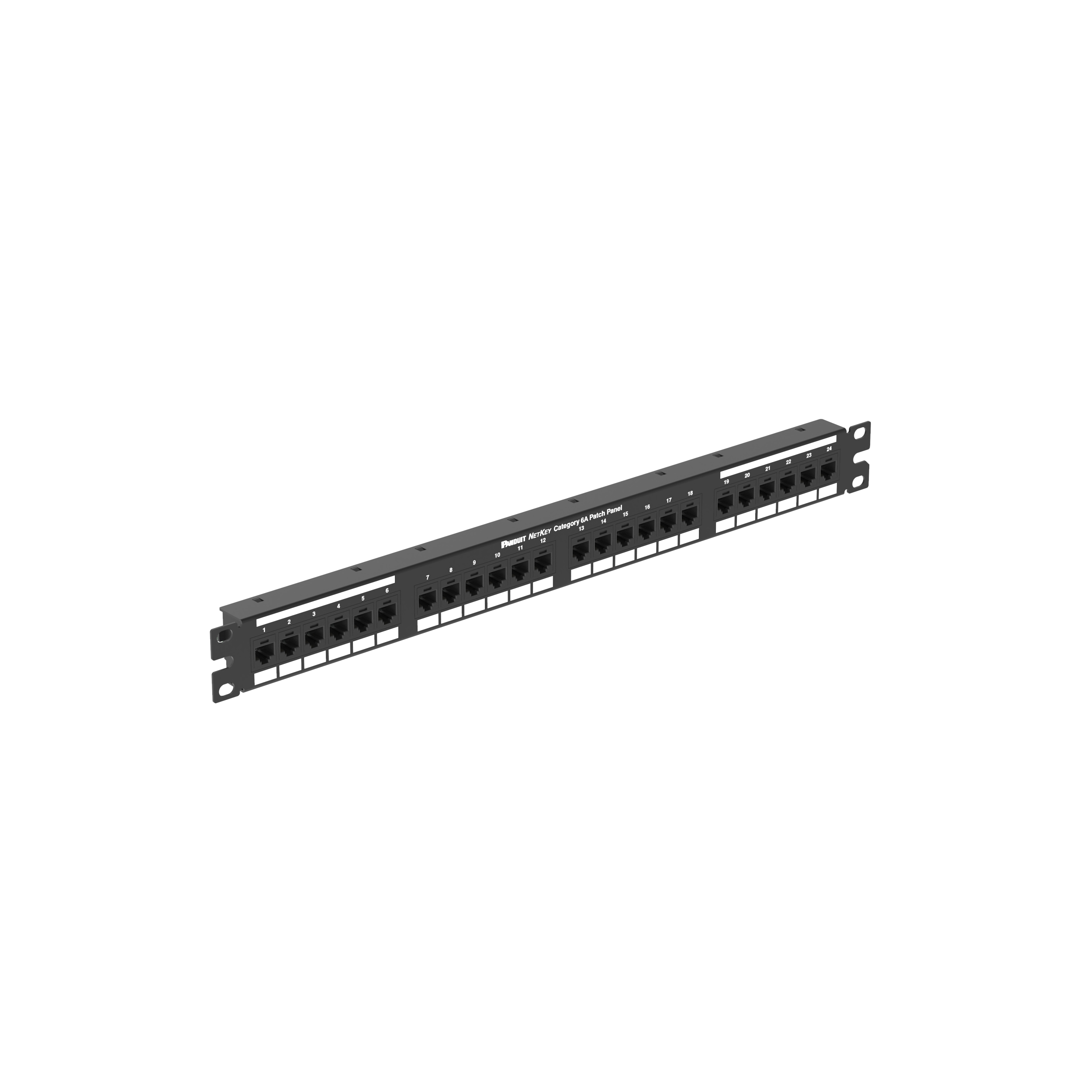 Cat 6A Puntdown Keystone Yama Paneli, 1 RU