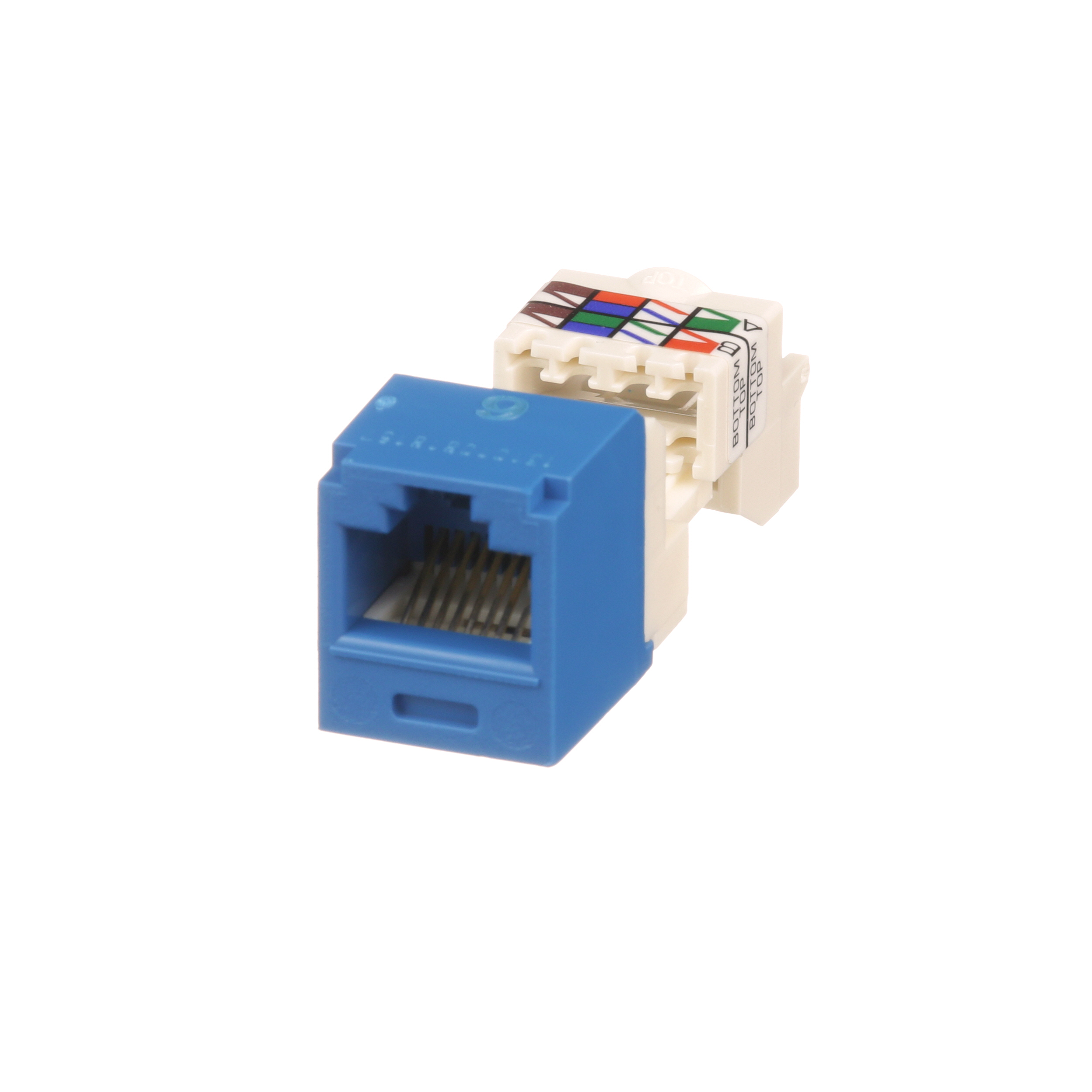 UTP RJ45 Cat 6 TP-Style Jack Module, Blue
