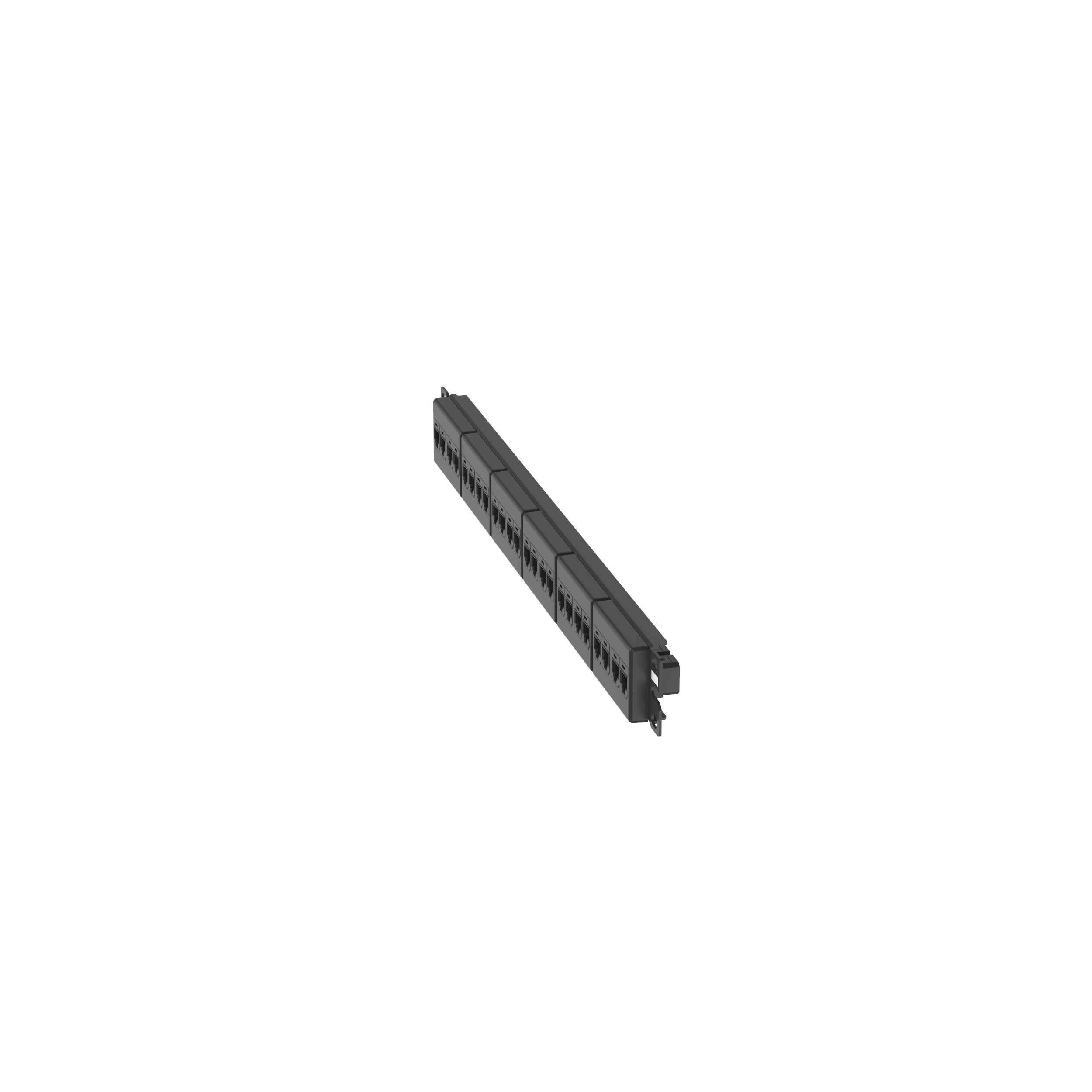 Cat 6 Coupler Patch Panel, 24 Ports, 1 RU, Black