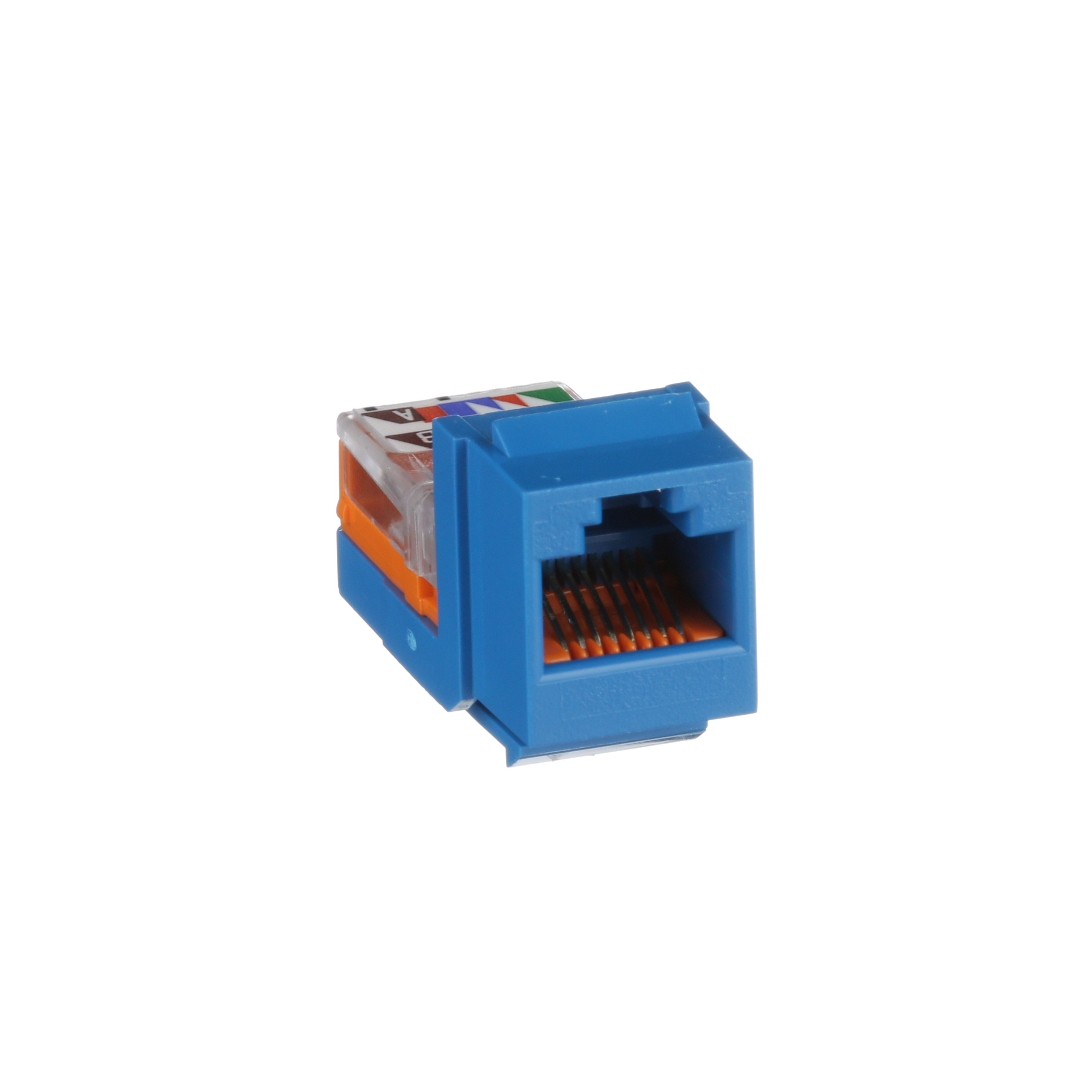 Bükümlü Çift RJ45 Cat 5e Kurşun Çerçevesi Anahtar Modülü, BU