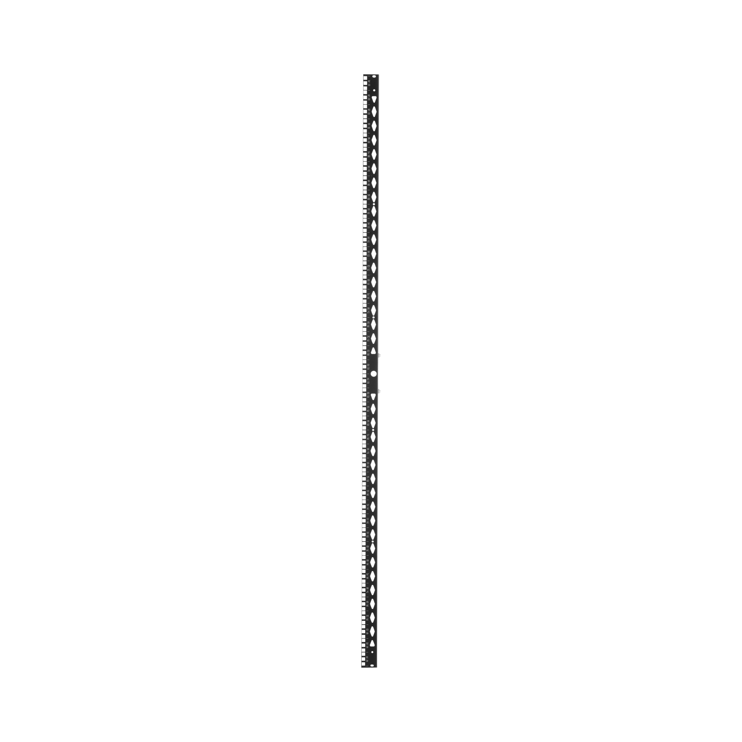 Equipment Rail Kit, 600mm x 42RU, Black