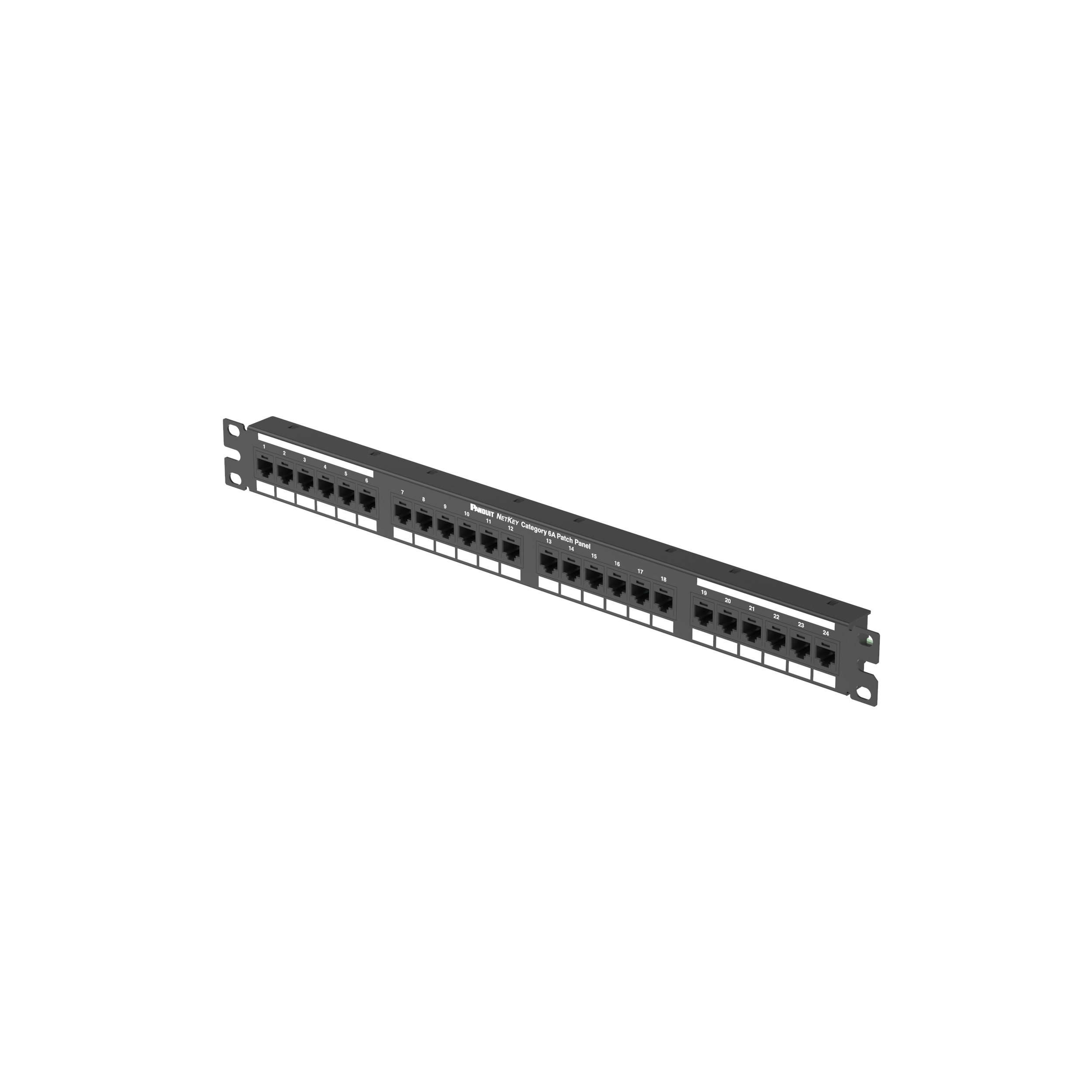 Cat 6A Puntdown Keystone Yama Paneli, 1 RU