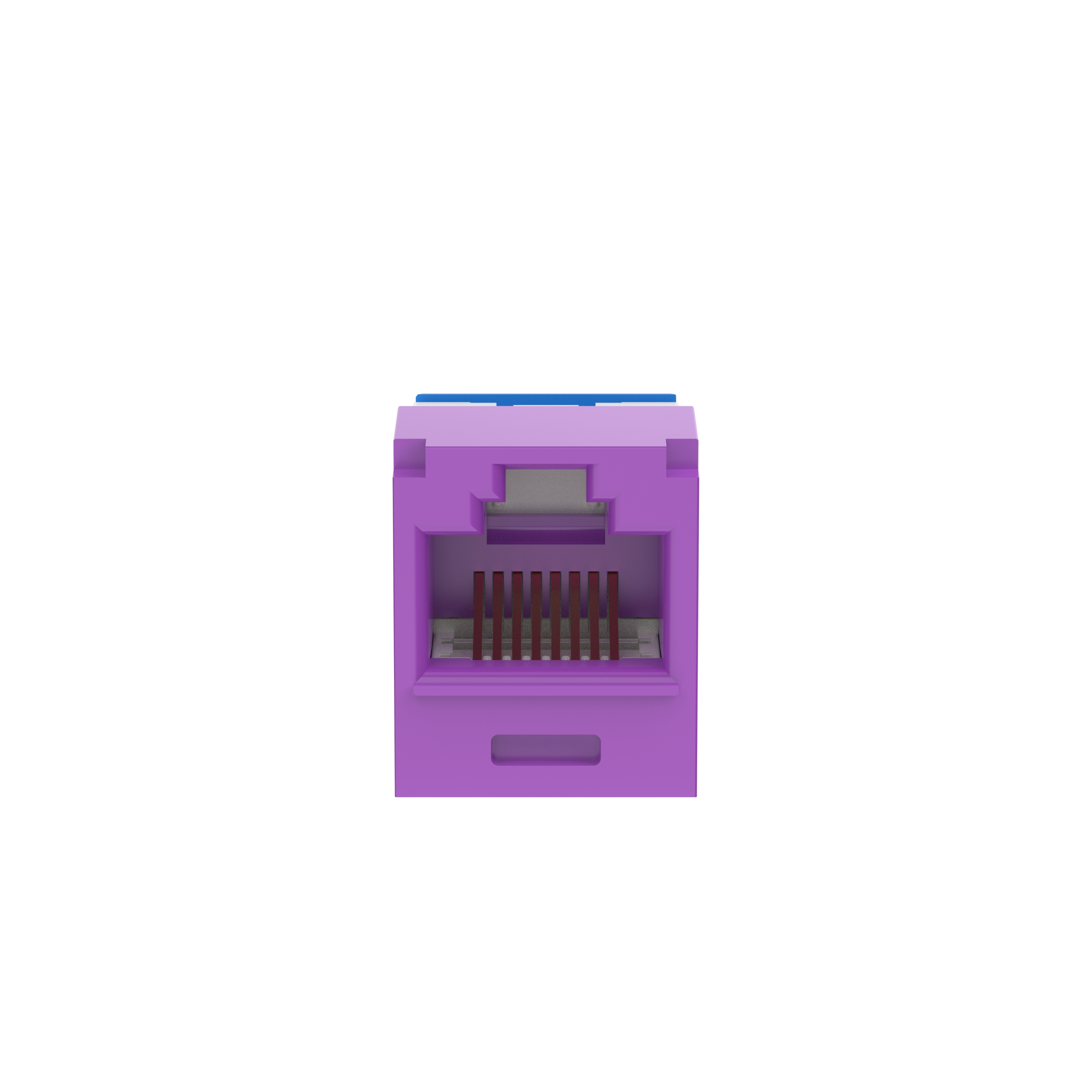 Çift Bükümlü Kablo RJ45 Cat 6A Yukarı/Aşağı TG Jak Modülü, Mor