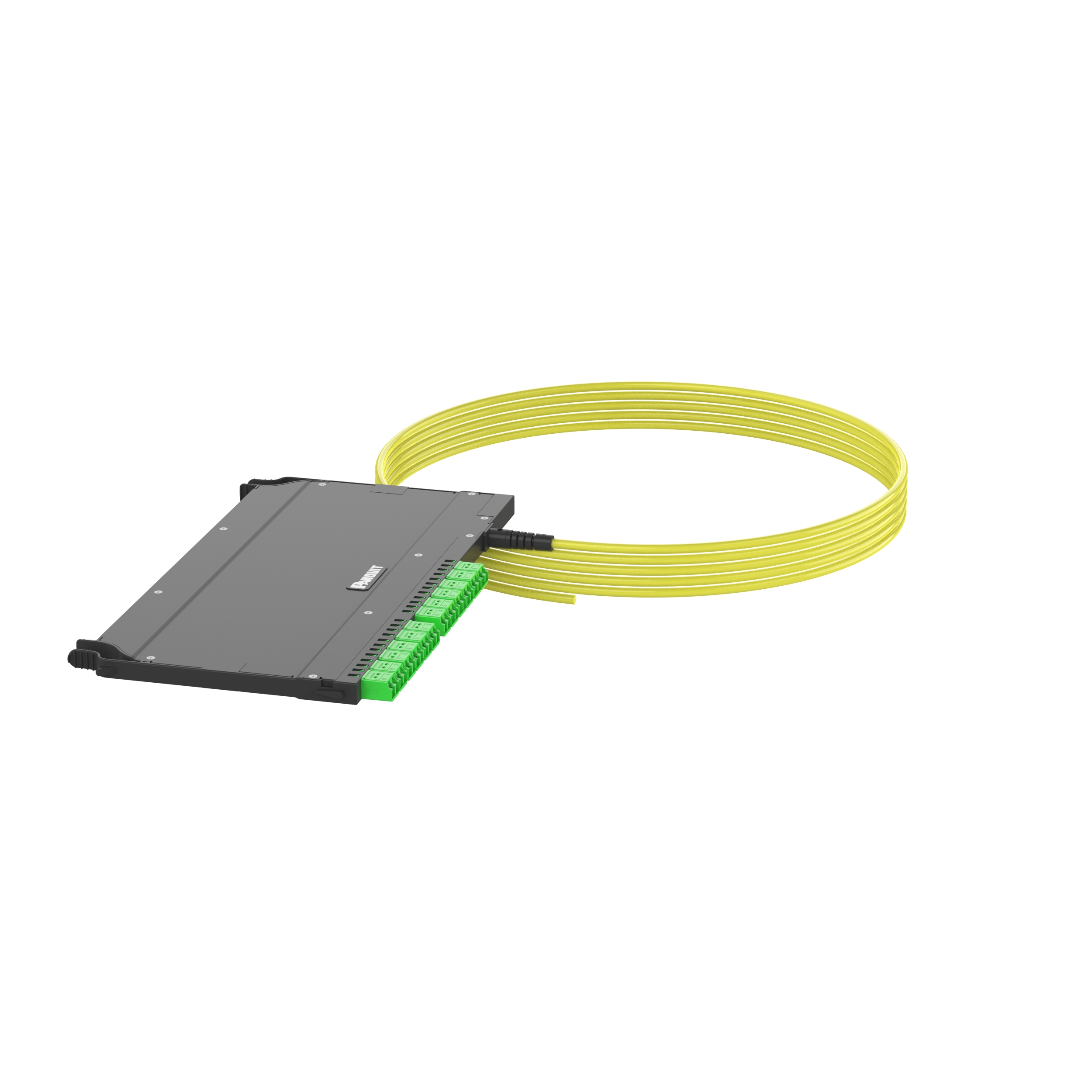 OS2 Tek Modlu 24 Fiber İç Mekan Küçük Çaplı Trunk, Plenum, FlexCore Ön Erişim ODF LC/APC Kaset, Sağ taraf Küt uç, Standart Yerleştirme Kaybı, Çekme Gözü Yok - 50 Feet