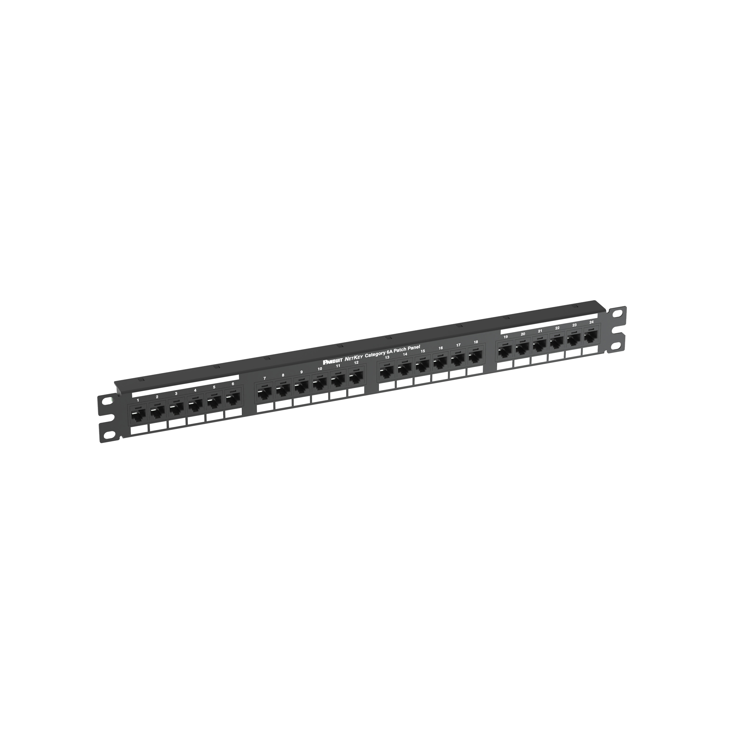 Cat 6A Puntdown Keystone Yama Paneli, 1 RU
