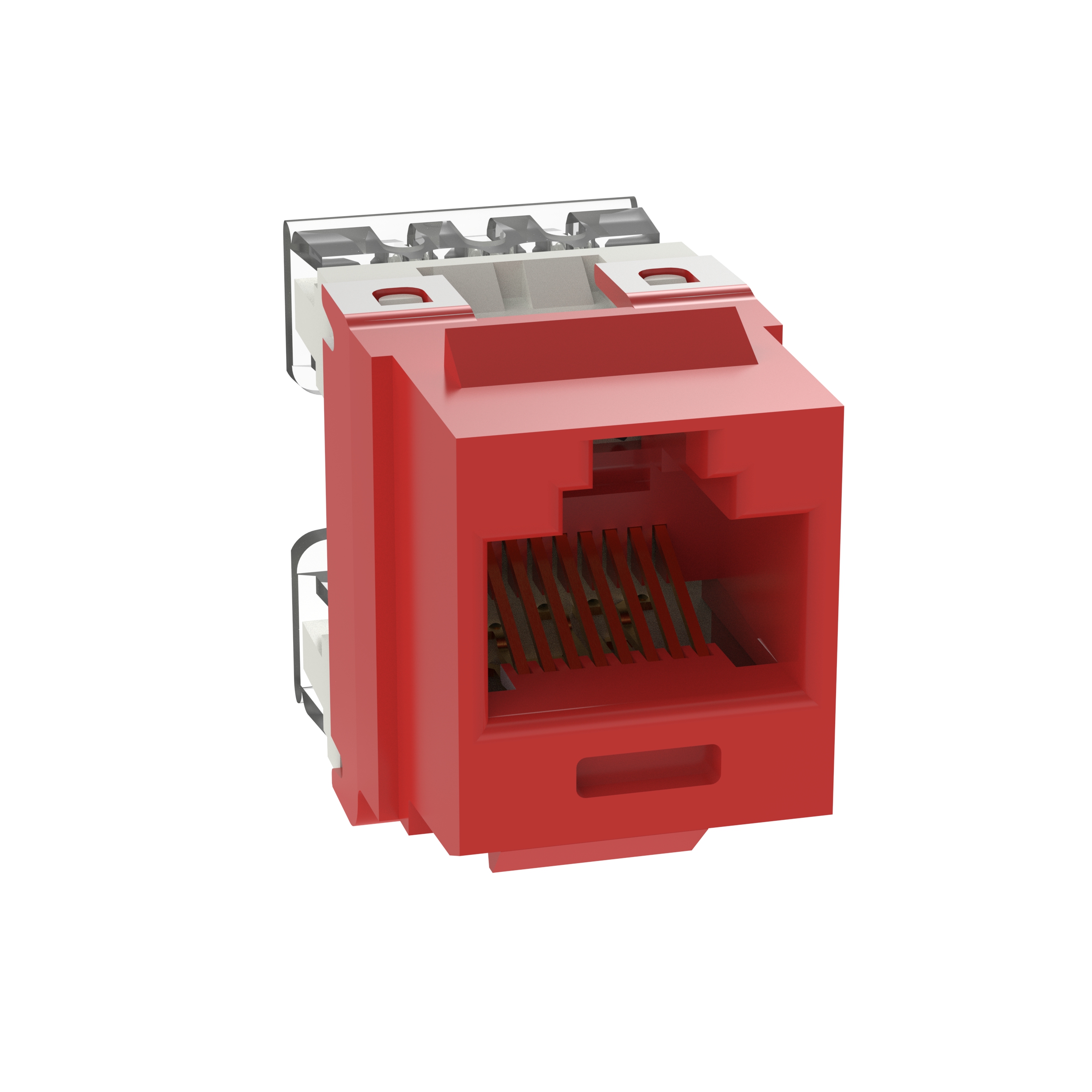 NK Cat 5e punchdown jack module, 25 pack