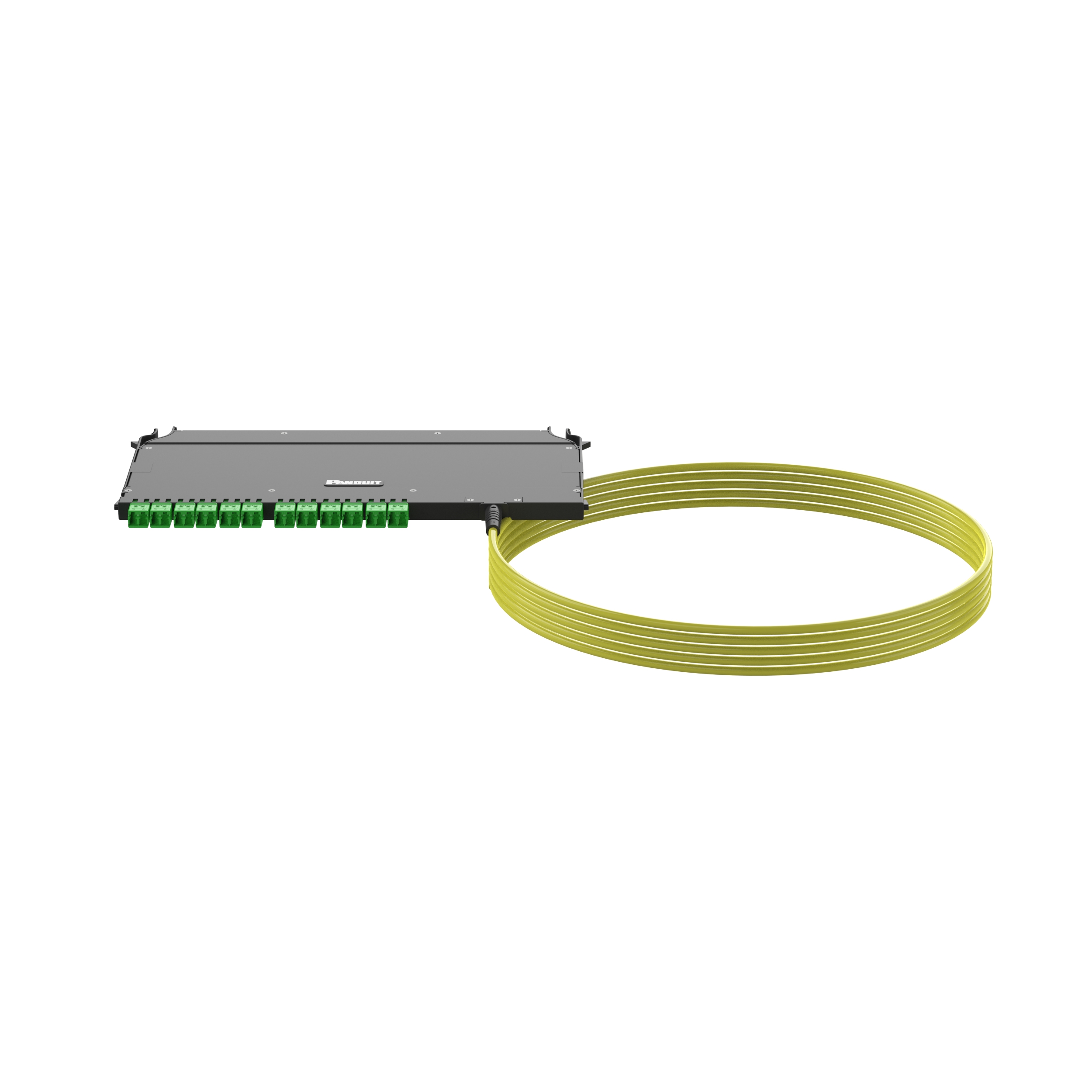OS2 Tek Modlu 24 Fiber İç Mekan Küçük Çaplı Trunk, Plenum, FlexCore Ön Erişim ODF LC/APC Kaset, Sağ taraf Küt uç, Standart Yerleştirme Kaybı, Çekme Gözü Yok - 50 Feet