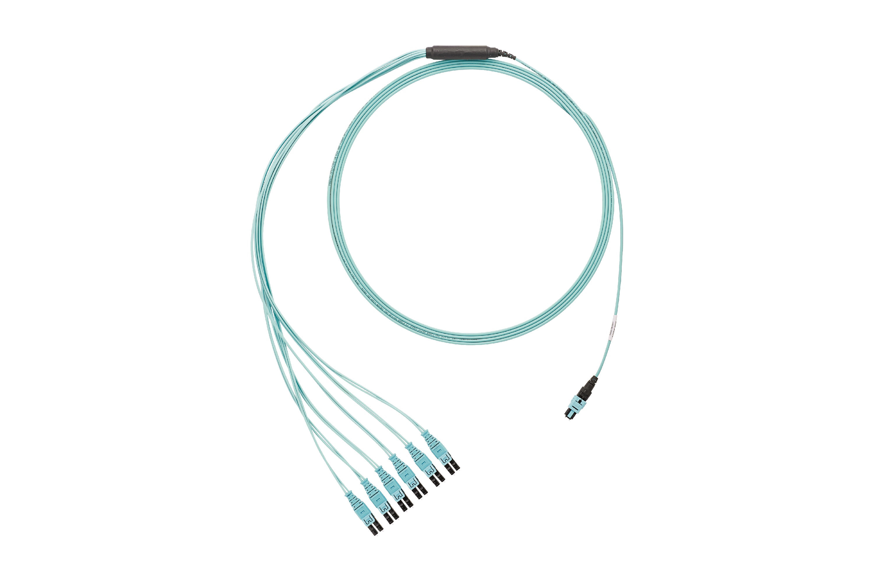 QuickNet™ PanMPO™ Female to LC Push-Pull Cable Harness
