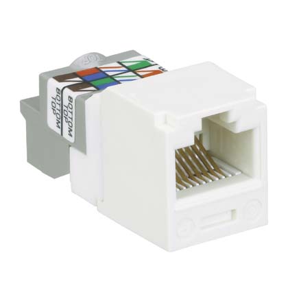 UTP RJ45 Cat 6 TP-Style Jack Module, Arctic White