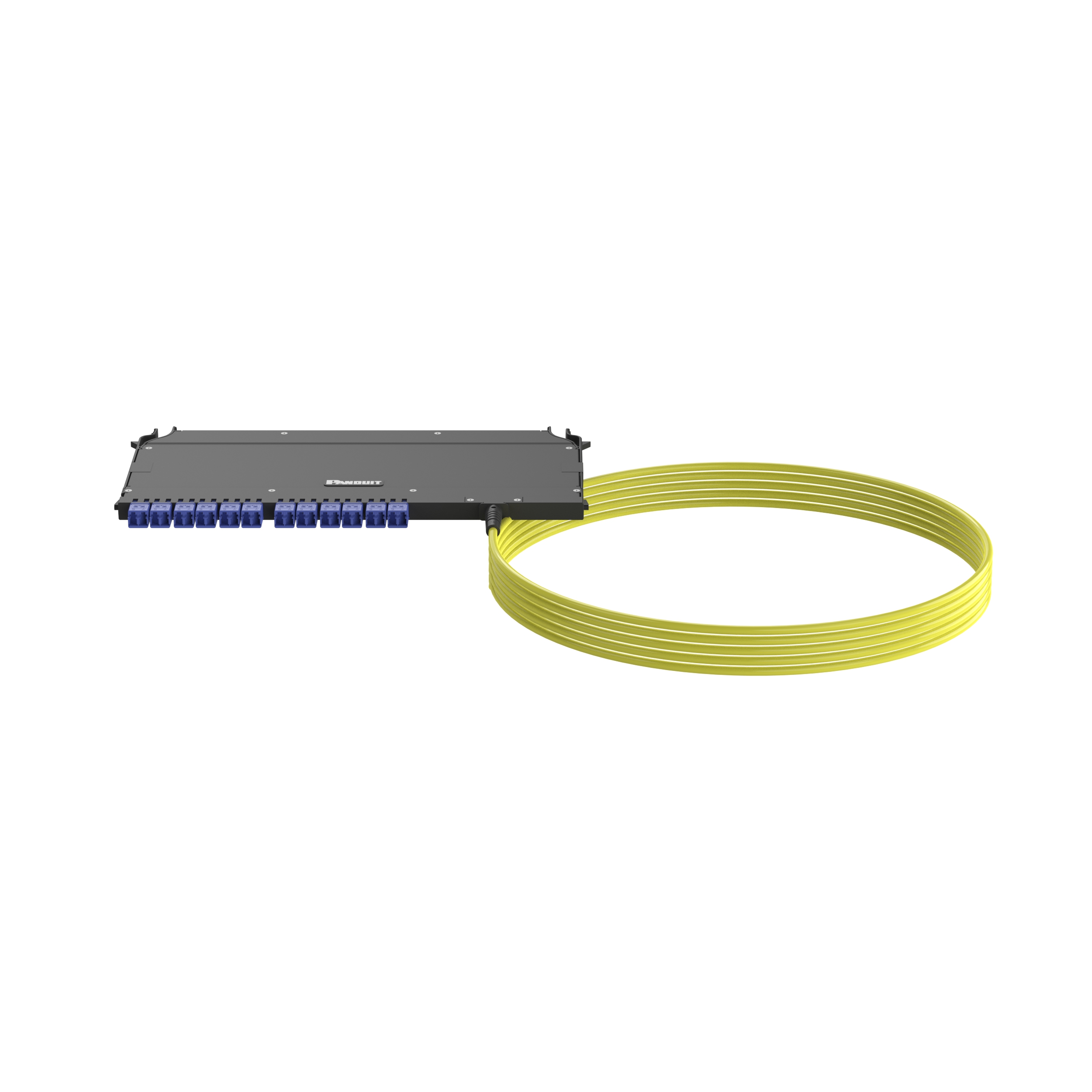 OS2 Tek Modlu 24 Fiber İç Mekan Küçük Çaplı Trunk, Plenum, FlexCore Ön Erişim ODF LC Kaset, Sağ taraf Düz uç, Standart Ekleme Kaybı, Çekme Gözü Yok - 50 Feet