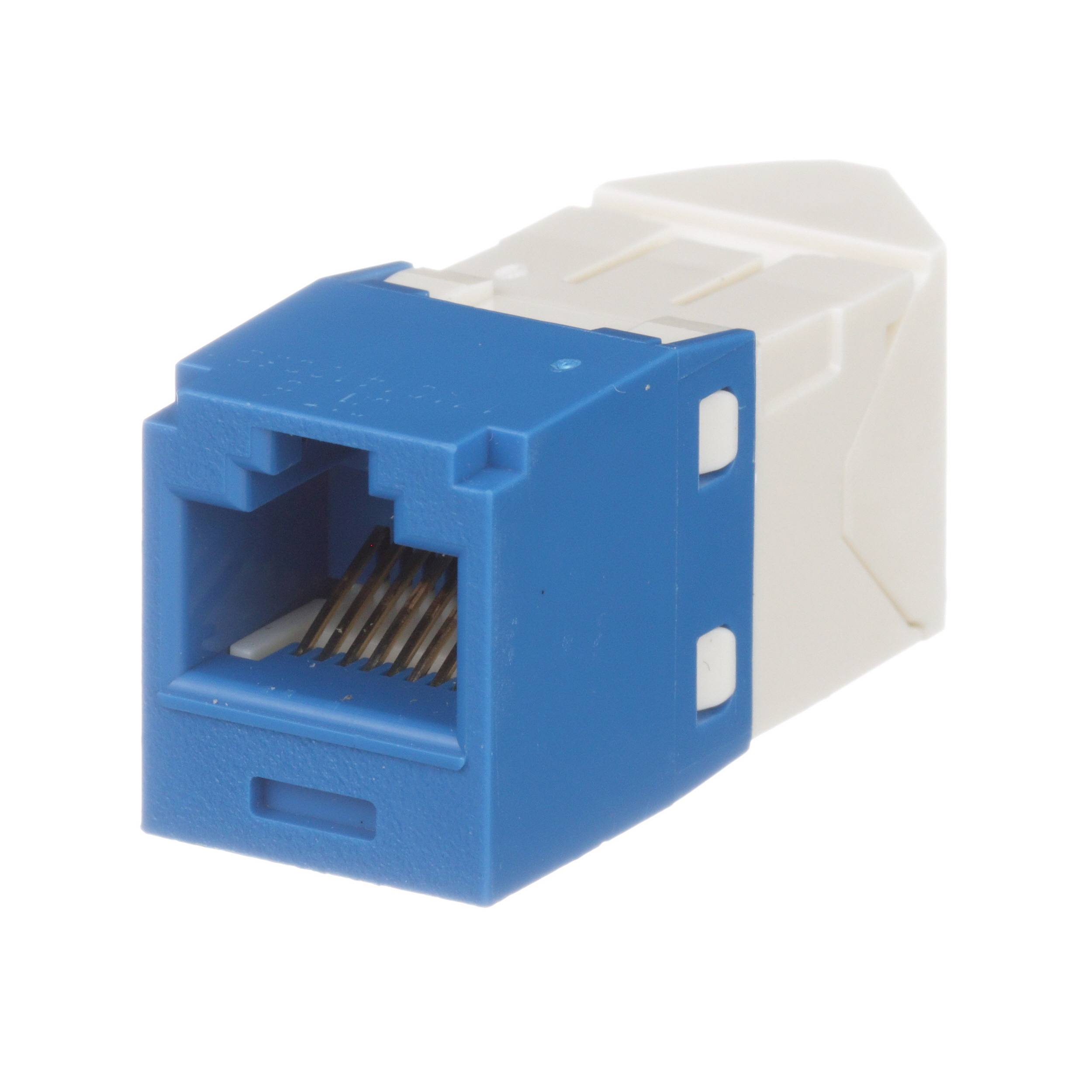 Bükümlü Çift RJ45 Cat 6 Sol/Sağ Çevirme Jack Modülü, Mavi