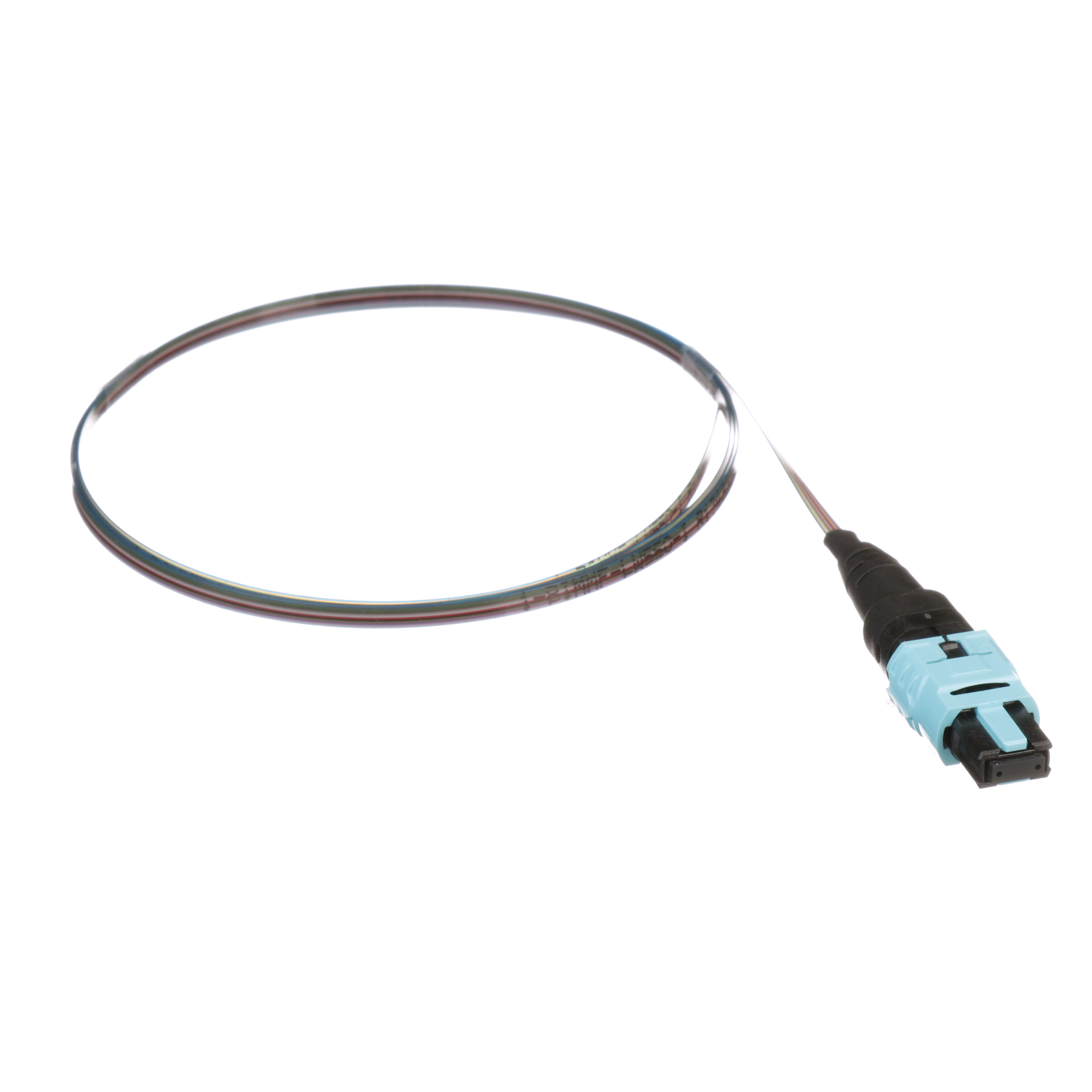OM4, 12 Fiber Çıplak Şerit Pigtail Montajı, PanMPO Dişi to Pigtail, Standart Polarite, Standart Ek Kaybı - 1 metre