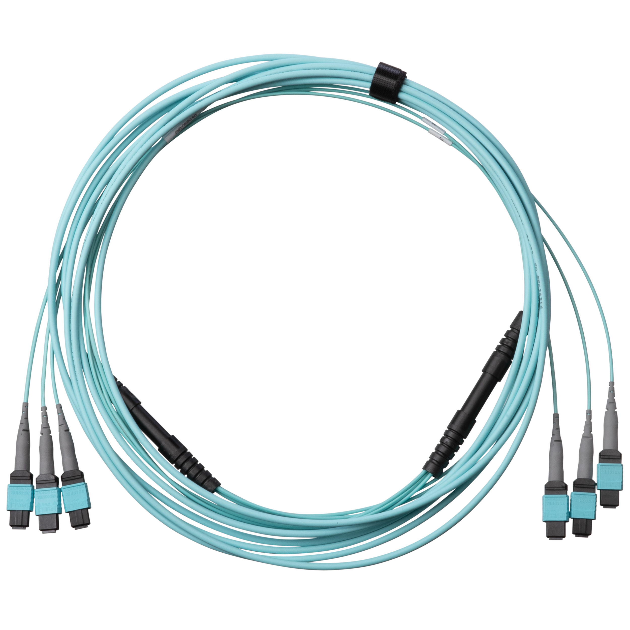 OM4 24-Fiber Bağlantı Kablosu, LSZH, Dişi PanMPO-8 ile 24in (60cm) ayrım, Dişi PanMPO-8 ile 24in (60cm) ayrım, Polarite B, Optimize Edilmiş Işın Geçirgenliği, 10 Metre