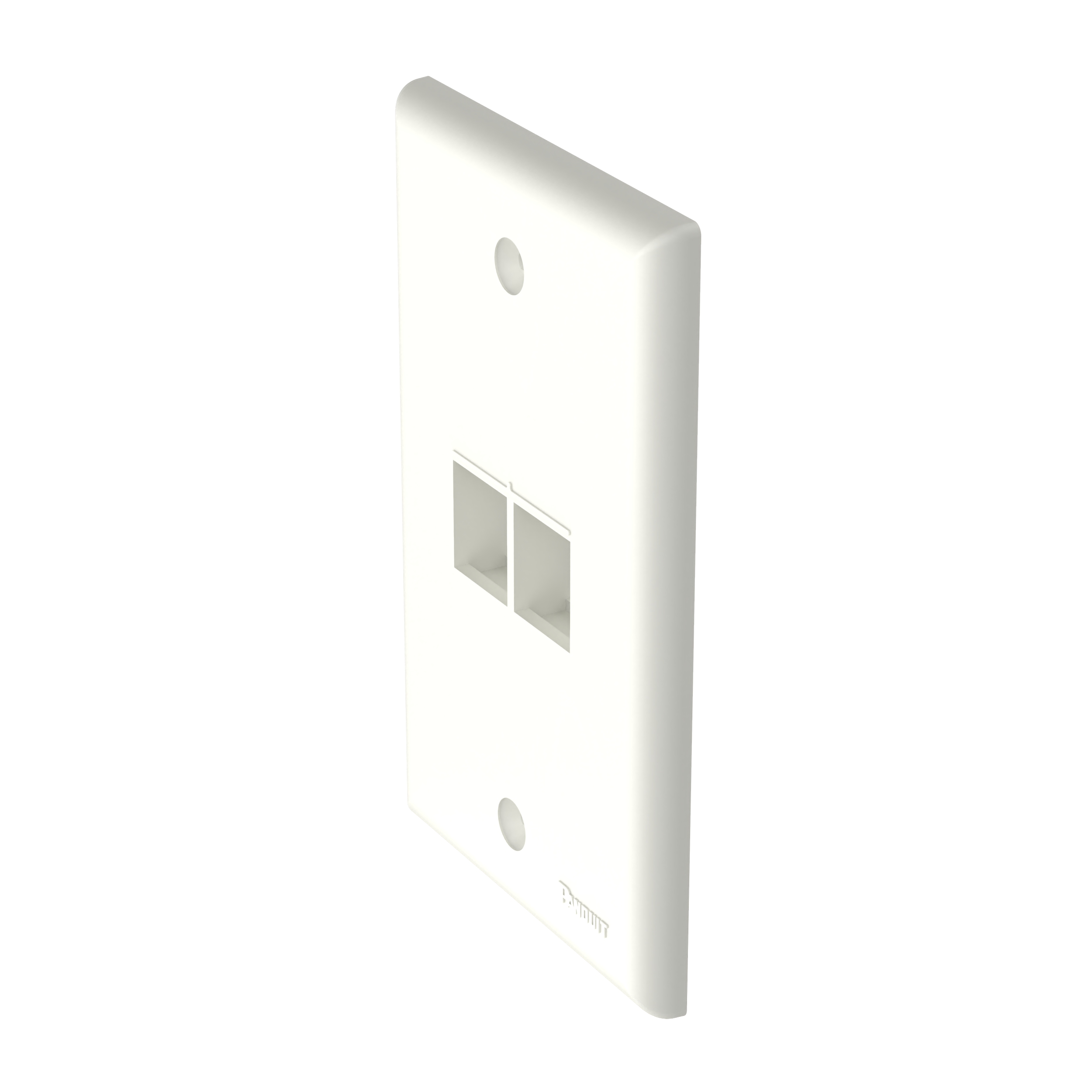 NetKey® Yüz Levhası, 2 Port, Açık Beyaz