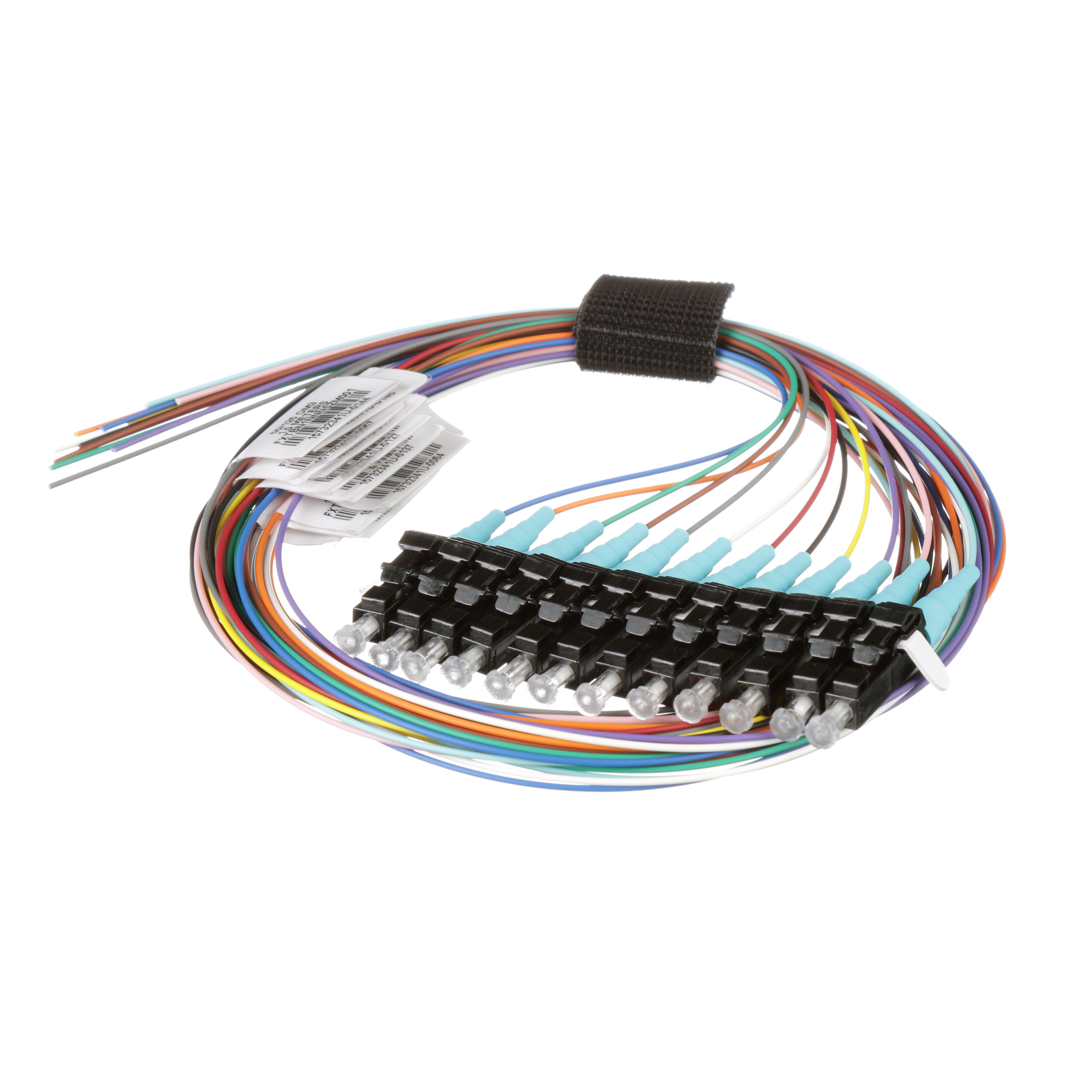 OM3, 12 Fiber 900um Korumalı Pigtail, LC Simplex - Pigtail, Standart Polarite, Standart Eklem Kaybı, EIA/TIA 598A'ya Göre Renklendirilmiş Set - 1 Metre