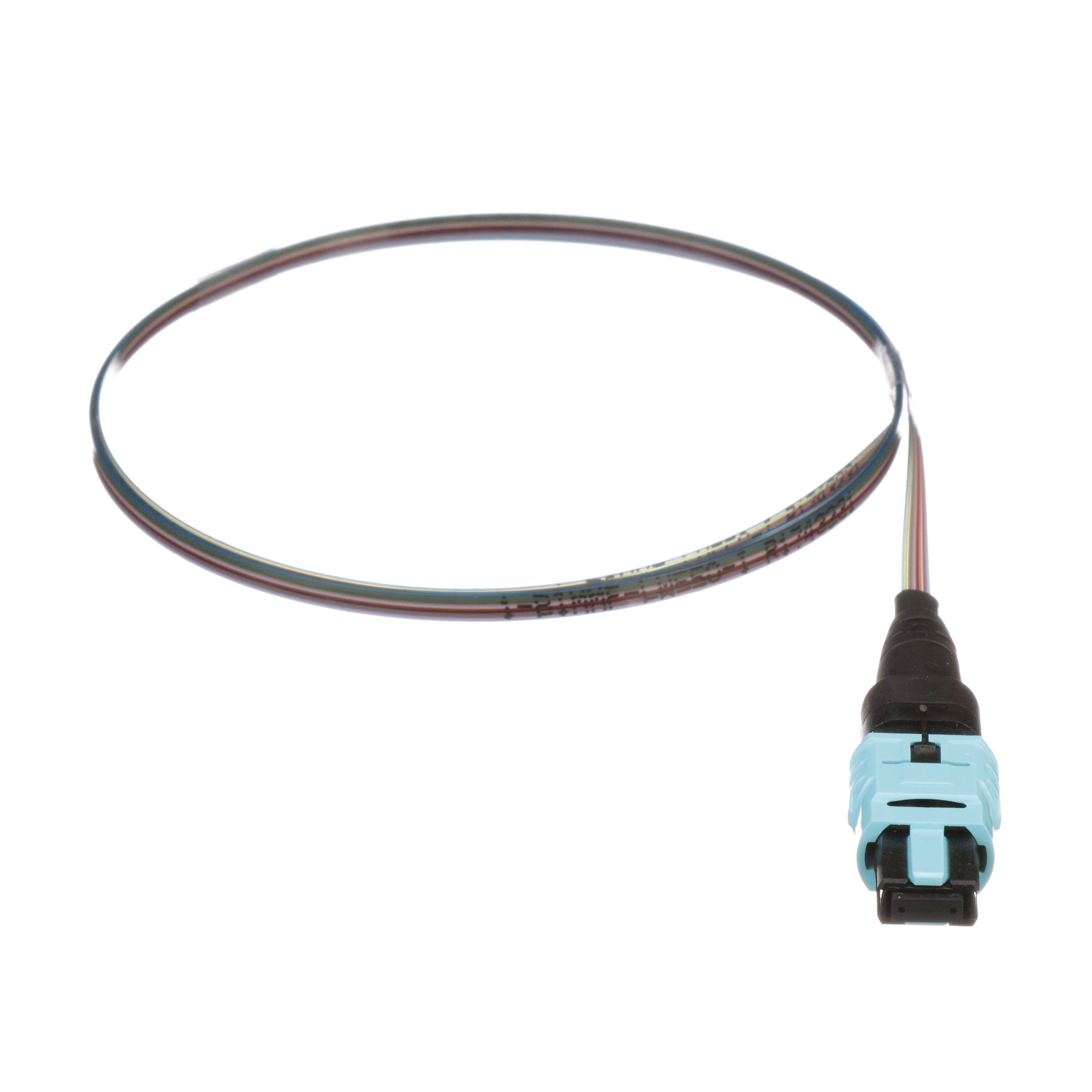 OM4, 12 Fiber Çıplak Şerit Pigtail Montajı, PanMPO Dişi to Pigtail, Standart Polarite, Standart Ek Kaybı - 1 metre