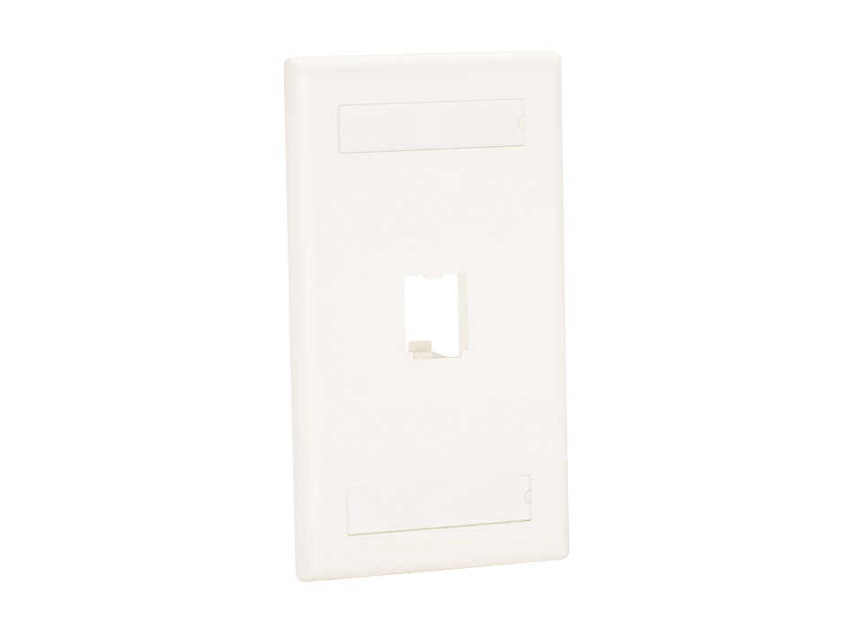 Panduit single faceplate
